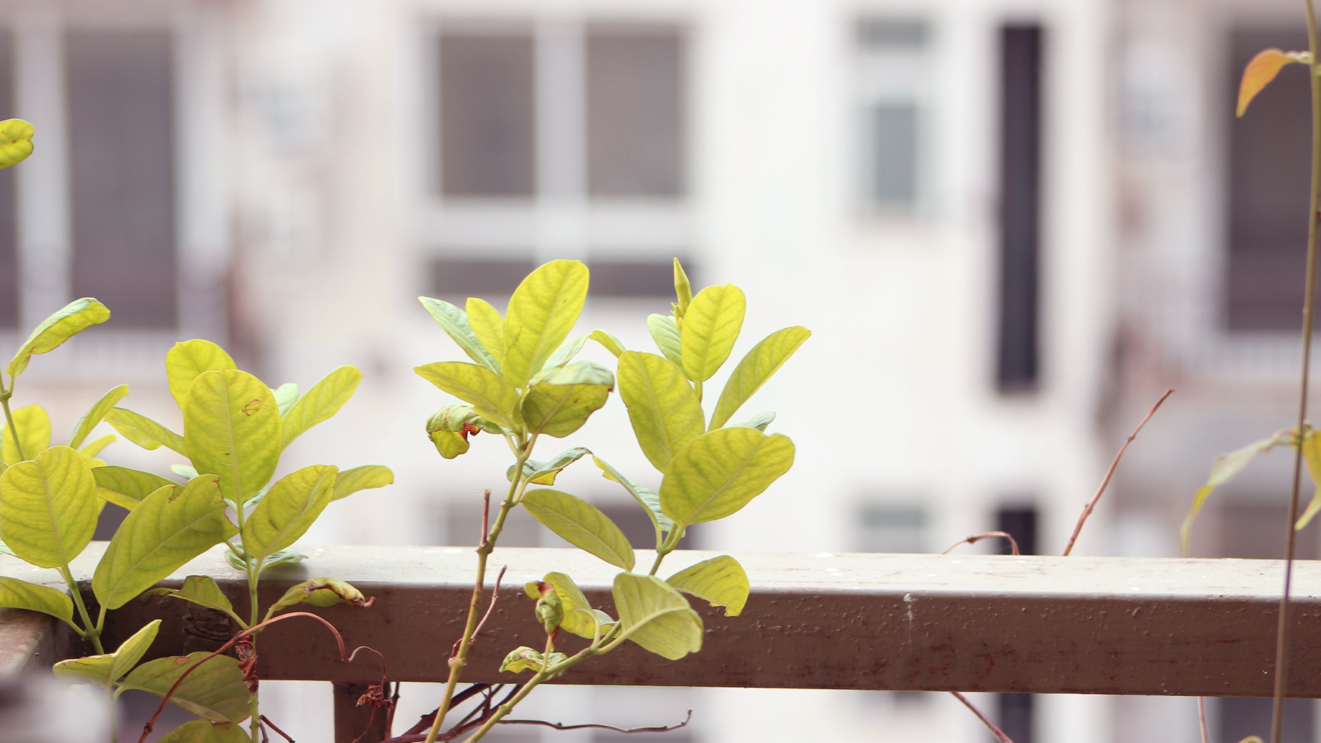 Magazyn Biogo - Slow-life - zmieniajzbiogo.pl