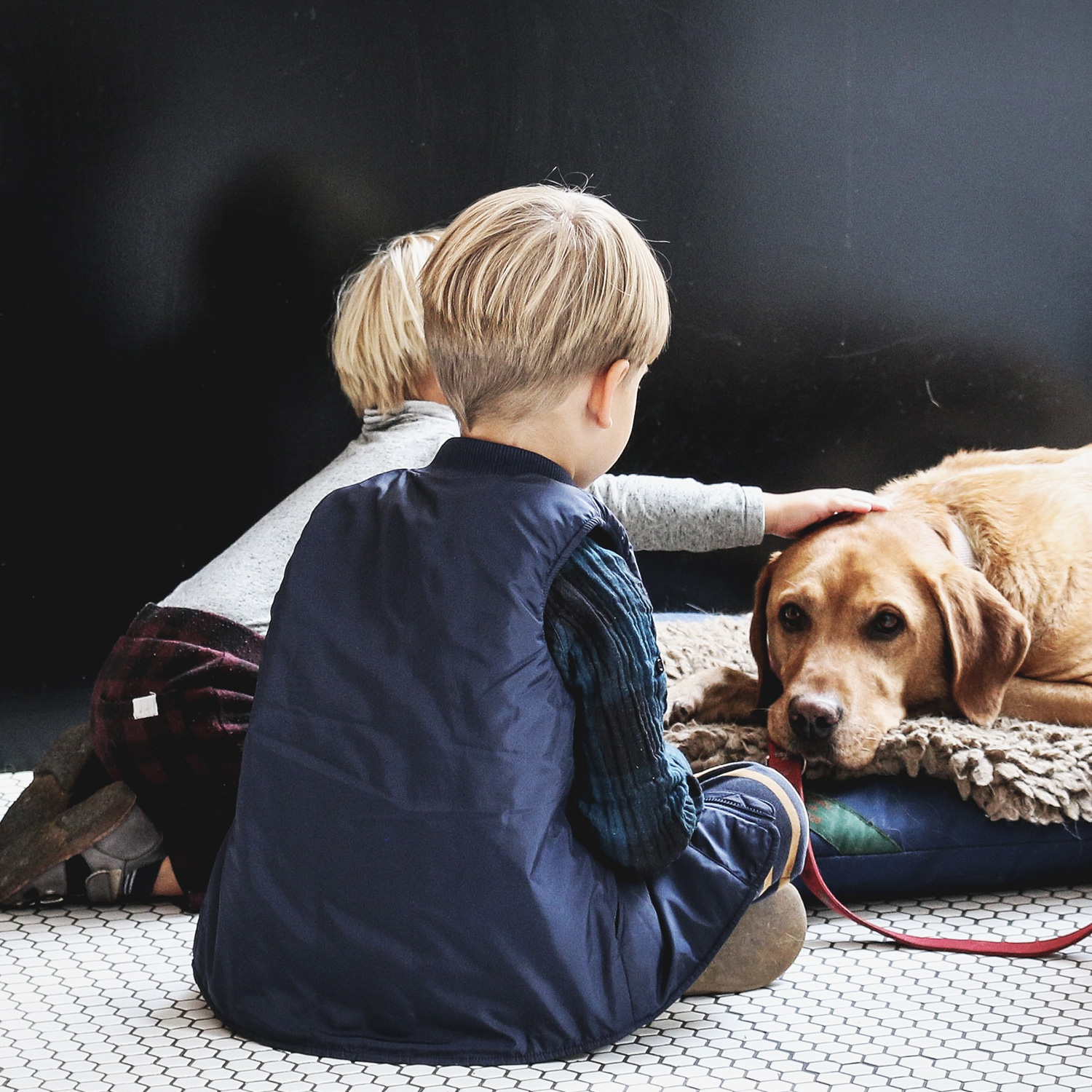 Magazyn Biogo - Wychowywanie dziecka z psem - zmieniajzbiogo.pl