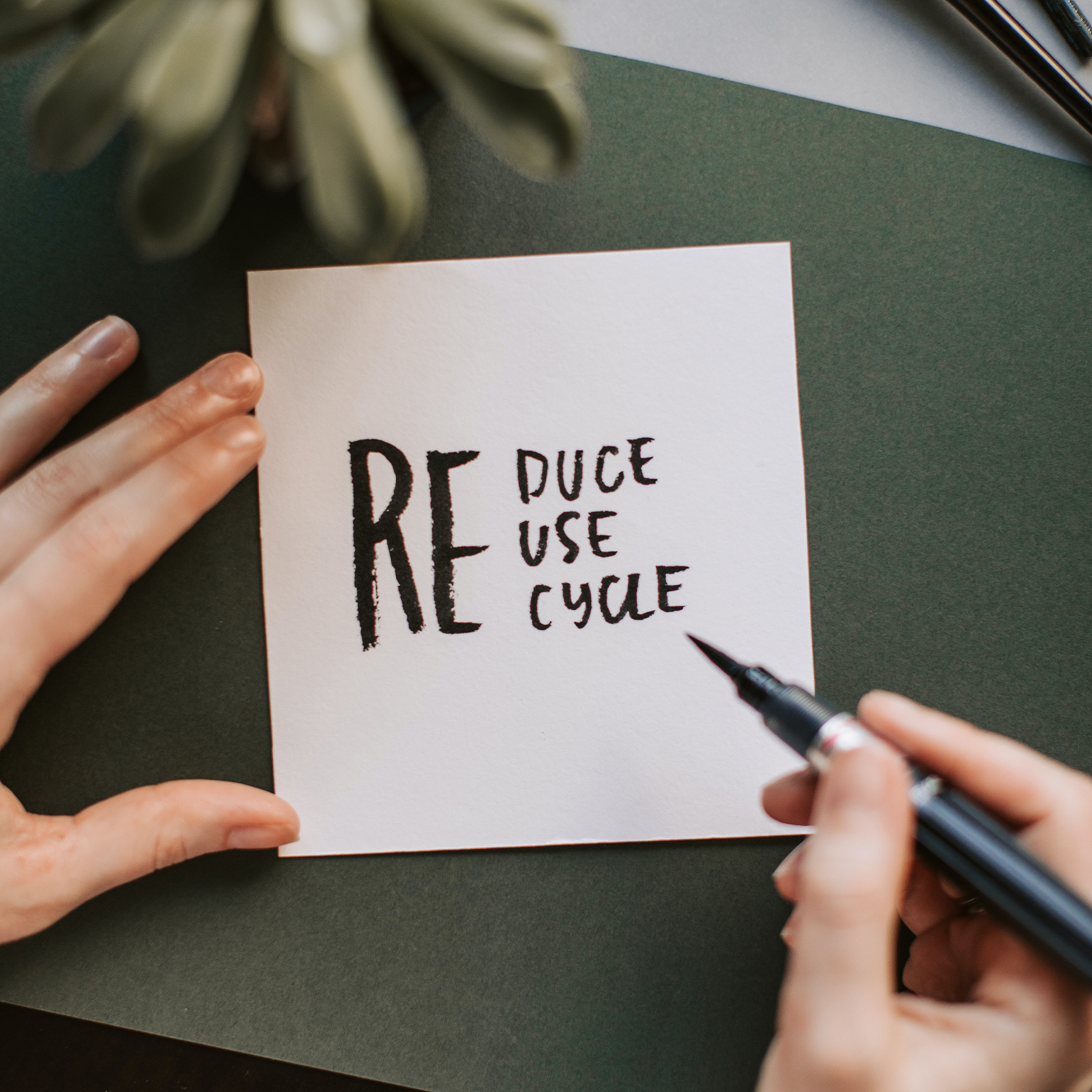 Magazyn Biogo - Ekologiczne rozwiązania - zmieniajzbiogo.pl