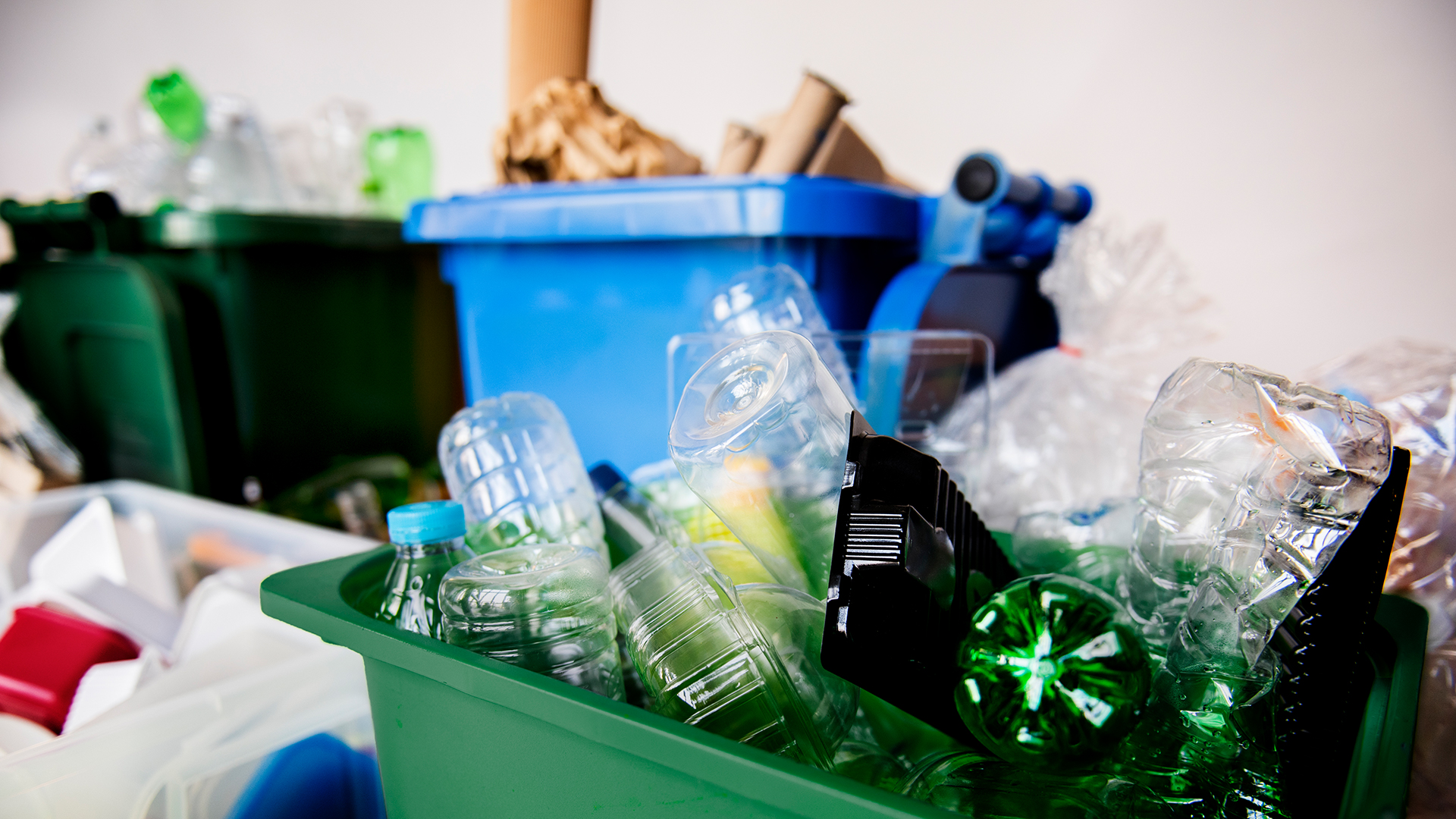 Magazyn Biogo - Proekologiczny styl życia - zmieniajzbiogo.pl