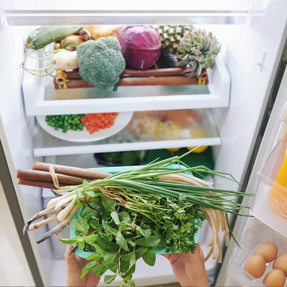 Magazyn Biogo - jak przechowywać jedzenie odpowiednio - zmieniajzbiogo.pl Magazyn Biogo - nie marnujmy jedzenia - zmieniajzbiogo.pl