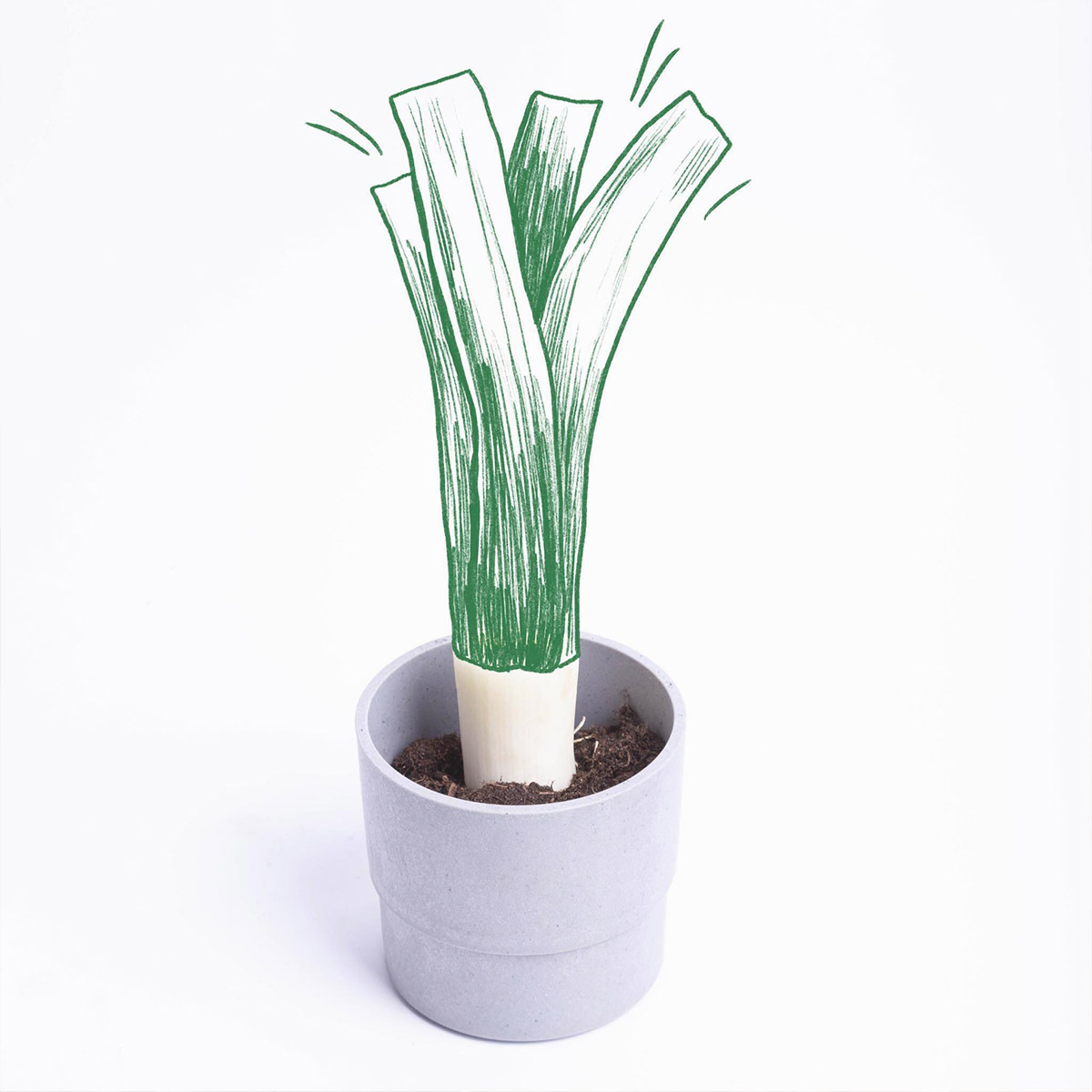 Magazyn Biogo - jak przechowywać jedzenie odpowiednio - zmieniajzbiogo.pl Magazyn Biogo - triki less waste - zmieniajzbiogo.pl