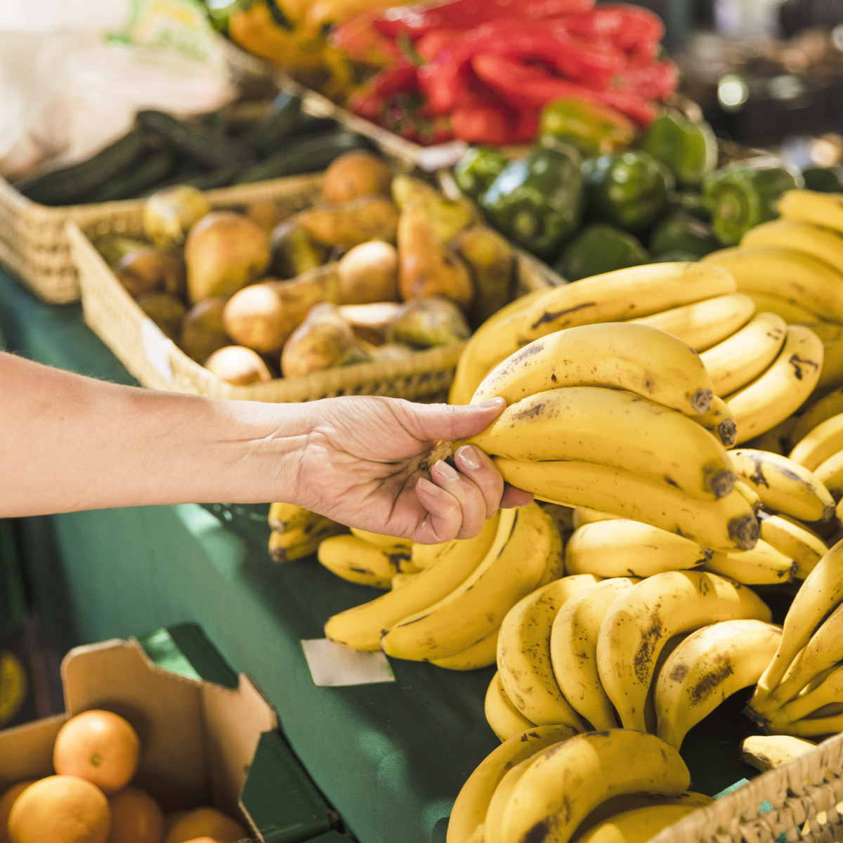 Magazyn Biogo - jak planować zakupy - zmieniajzbiogo.pl Magazyn Biogo - dzień walki z marnowaniem jedzenia - zmieniajzbiogo.pl