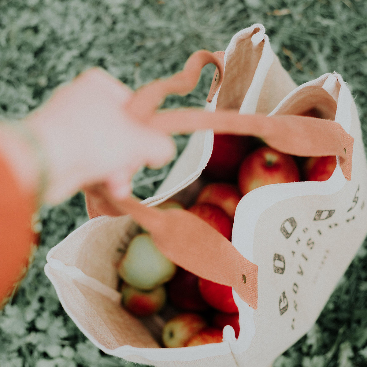 Magazyn Biogo - jak planować zakupy - zmieniajzbiogo.pl Magazyn Biogo - przechowuj jedzenie odpowiednio - zmieniajzbiogo.pl