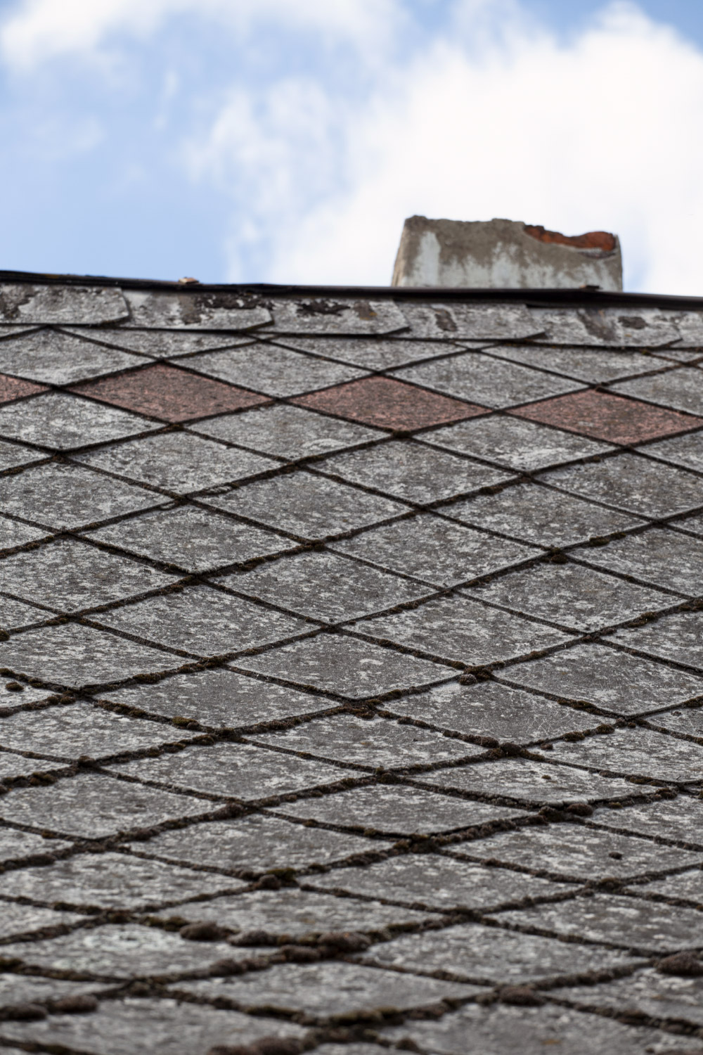 Magazyn Biogo - szukając swojego miejsca - zmieniajzbiogo.pl Magazyn Biogo - z dala od zgiełku - zmieniajzbiogo.pl