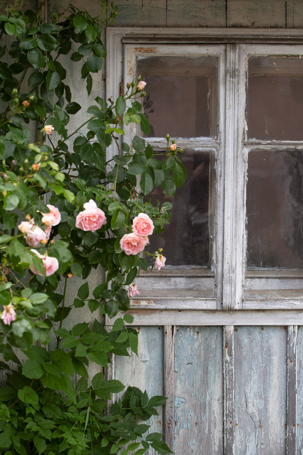 Magazyn Biogo - slow life - zmieniajzbiogo.pl Magazyn Biogo - z szacunkiem do otoczenia i natury - zmieniajzbiogo.pl