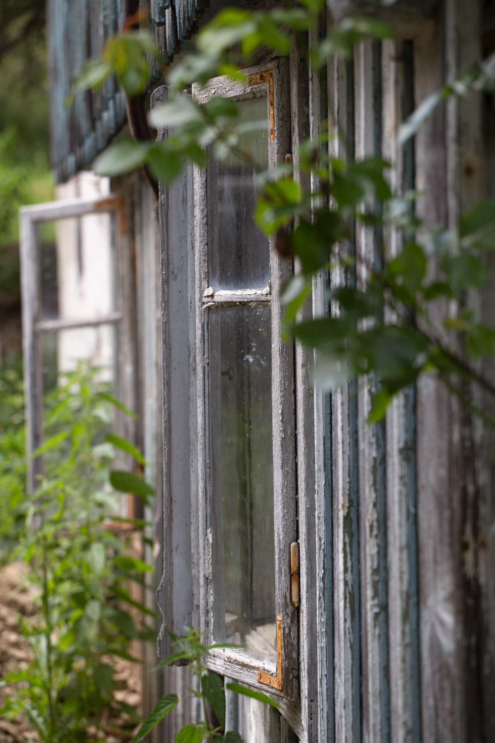 Magazyn Biogo - marzenia są po to, by je spełniać - zmieniajzbiogo.pl Magazyn Biogo - dobre emocje - zmieniajzbiogo.pl