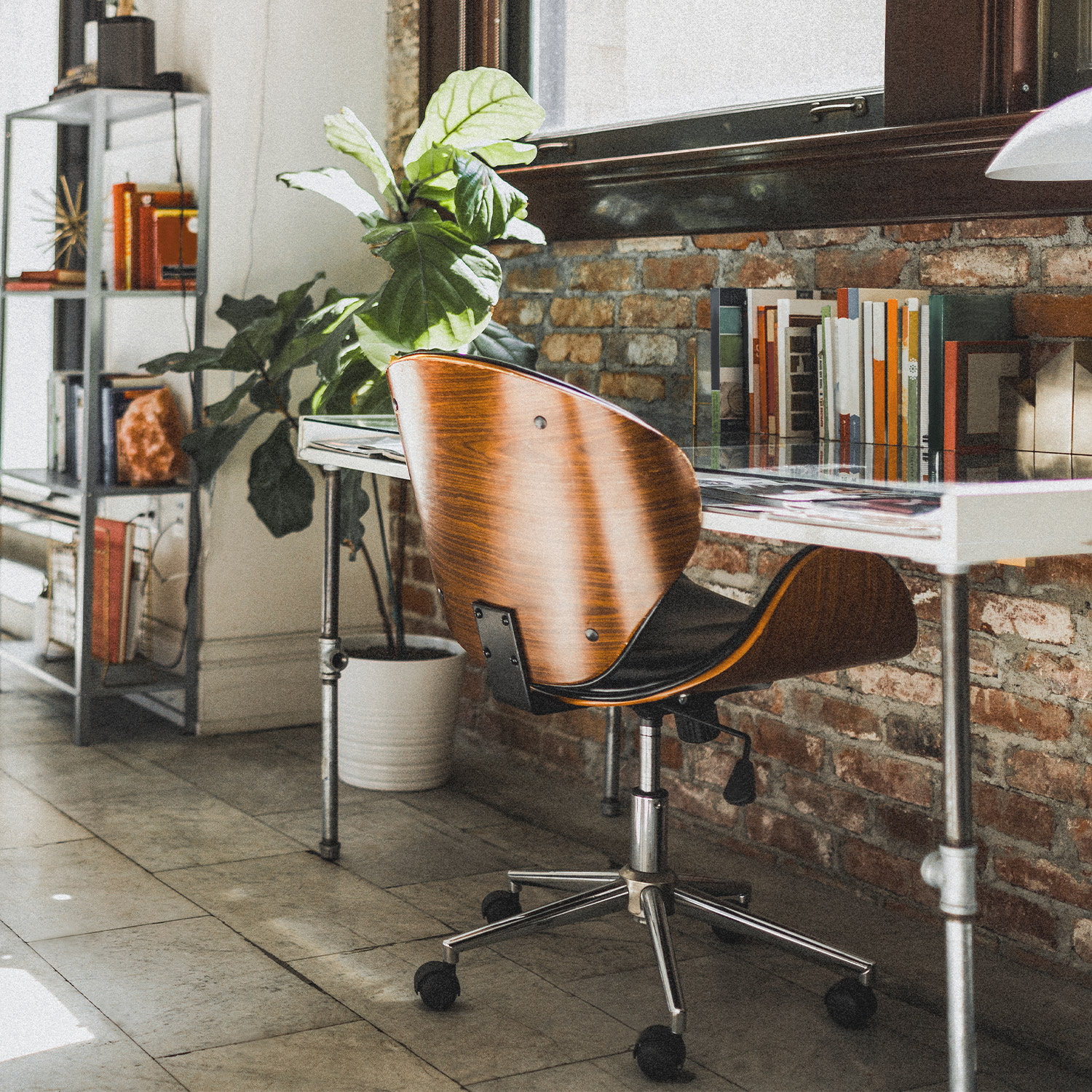 Magazyn Biogo - Jakie rośliny do domu - zmieniajzbiogo.pl