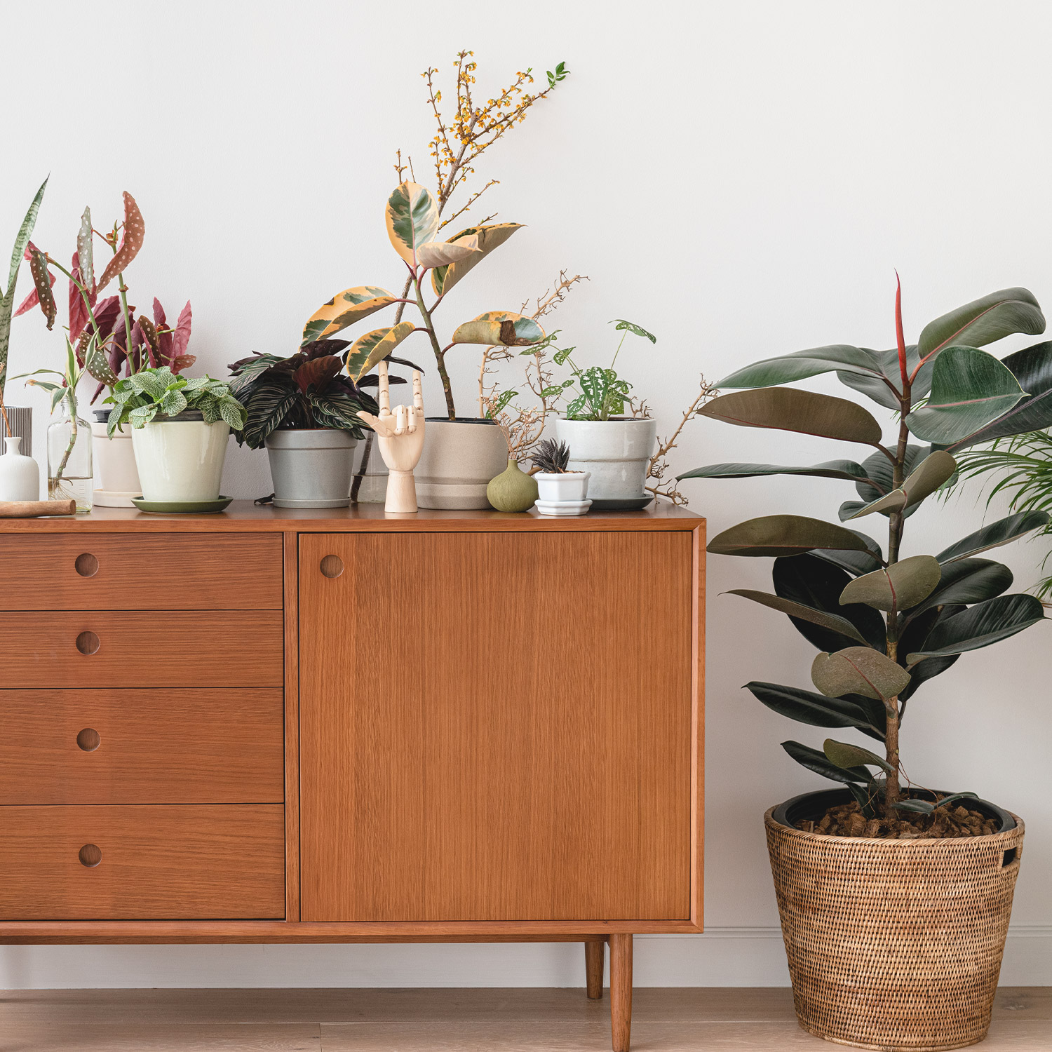 Magazyn Biogo - Rośliny w domu – dlaczego warto je uprawiać? - zmieniajzbiogo.pl Magazyn Biogo - Zielony sposób na relaks - zmieniajzbiogo.pl