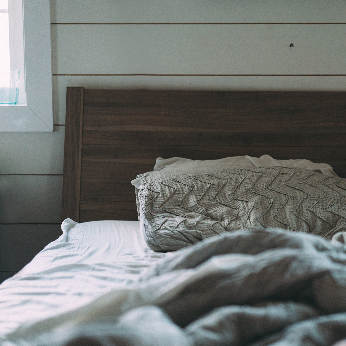 Magazyn Biogo - jesienna chandra - zmieniajzbiogo.pl