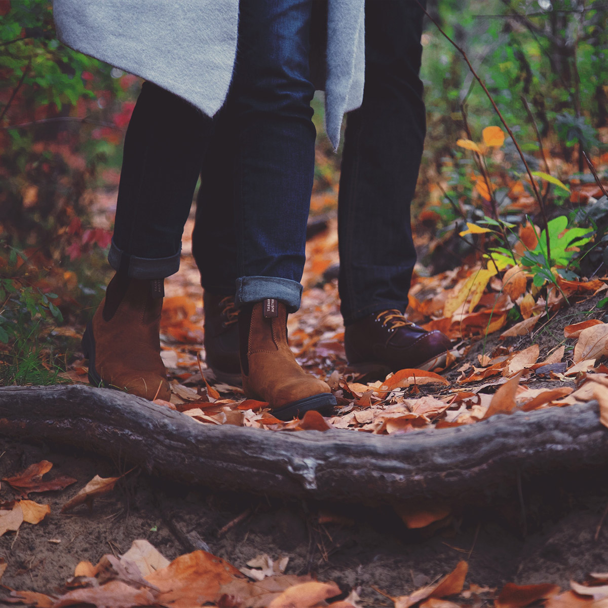 Magazyn Biogo - jesienna chandra - zmieniajzbiogo.pl