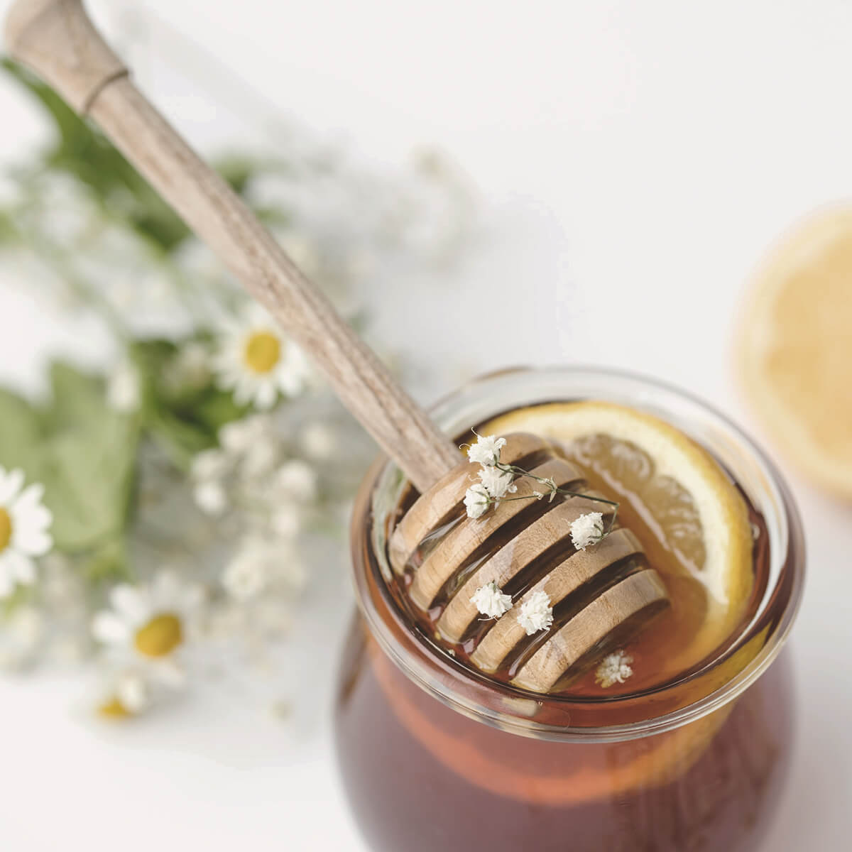 Magazyn Biogo - przepisy na zdrowe dania - zmieniajzbiogo.pl