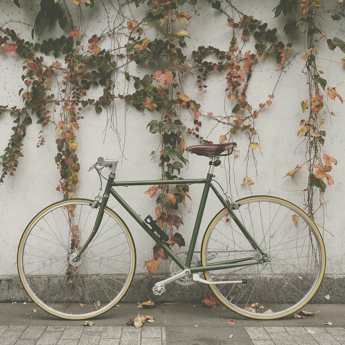 Magazyn Biogo - ekologiczne dojazdy - zmieniajzbiogo.pl Magazyn Biogo - przyjazne dla środowiska rozwiązania - zmieniajzbiogo.pl