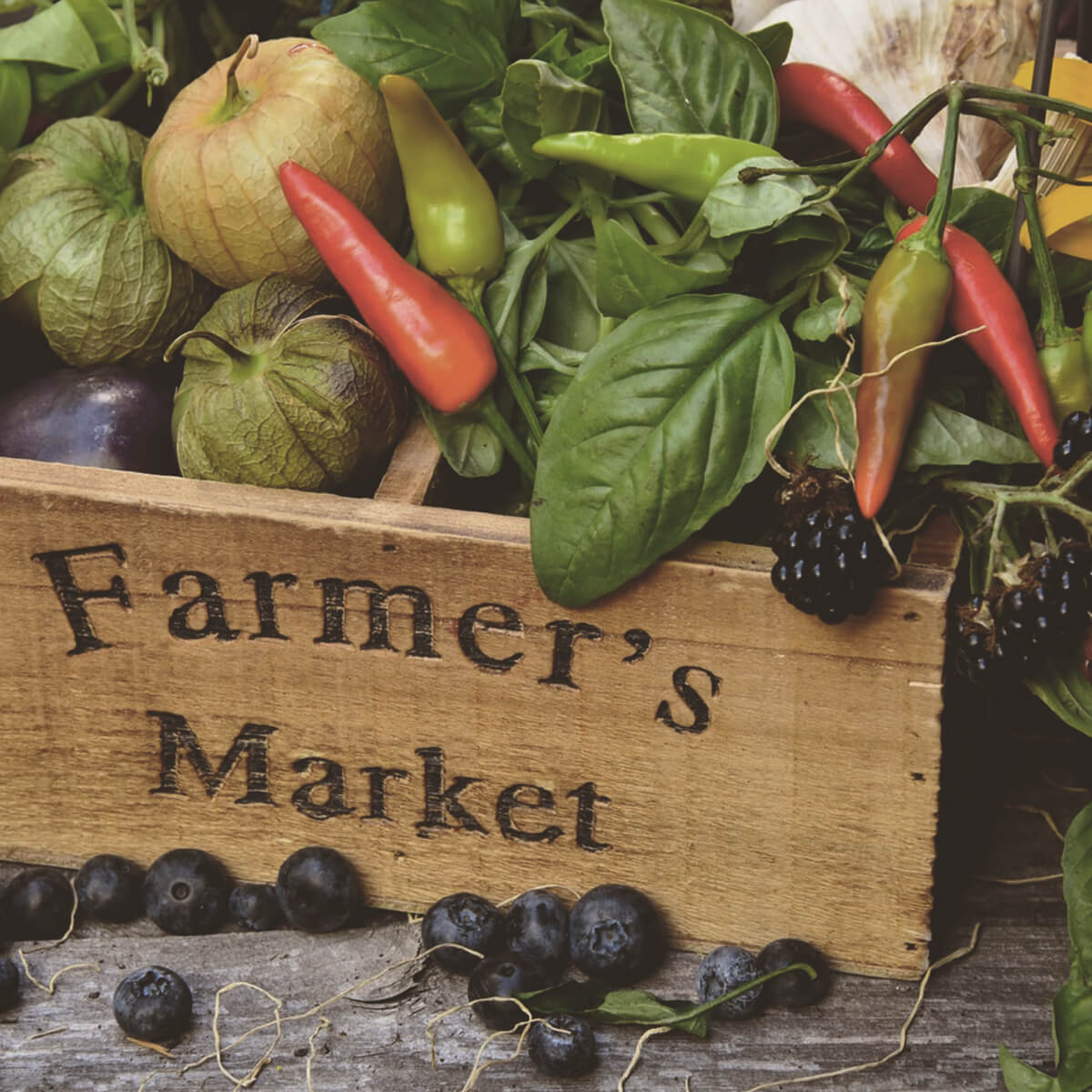 Magazyn Biogo - bezpieczne zakupy - zmieniajzbiogo.pl