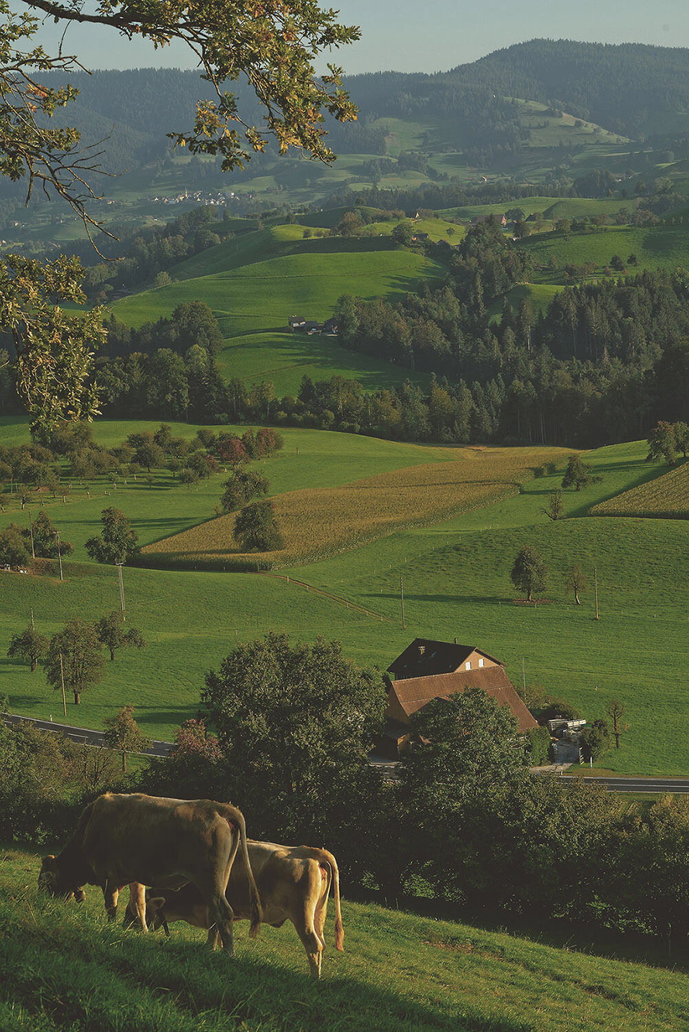 Magazyn Biogo - urlop na łonie natury - zmieniajzbiogo.pl
