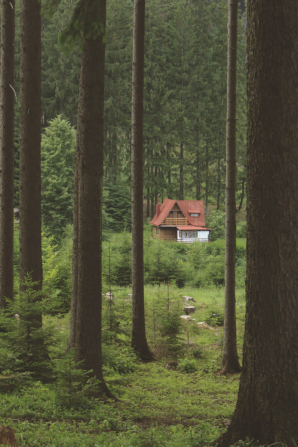 Magazyn Biogo - slow wakacje - zmieniajzbiogo.pl