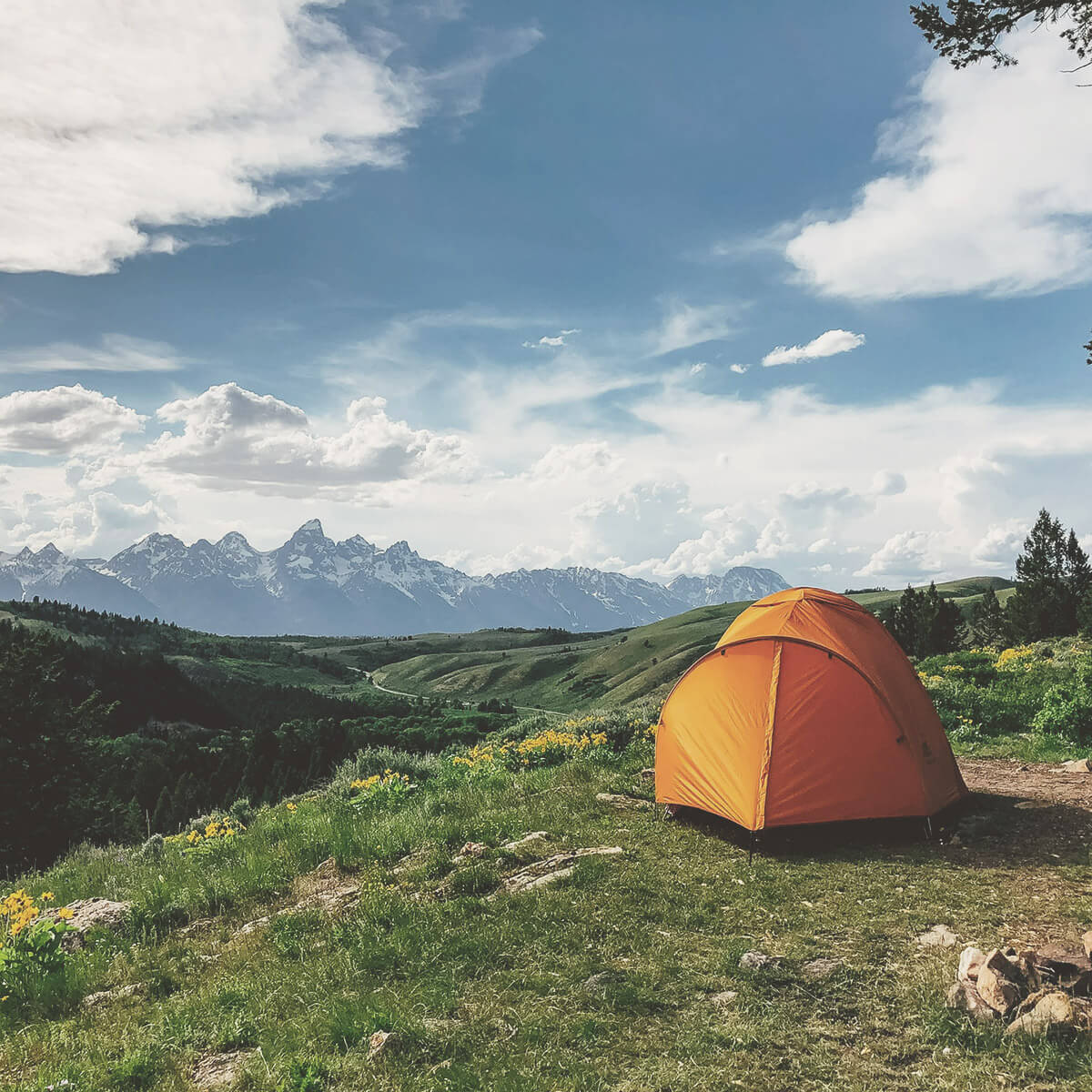 Magazyn Biogo - wakacyjne inspiracje - zmieniajzbiogo.pl