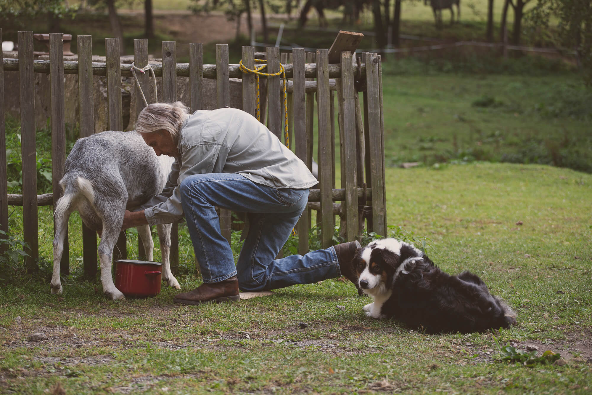 Magazyn Biogo - uroki życia polskiej prowincji - zmieniajzbiogo.pl Magazyn Biogo - piękno ulotnych momentów - zmieniajzbiogo.pl