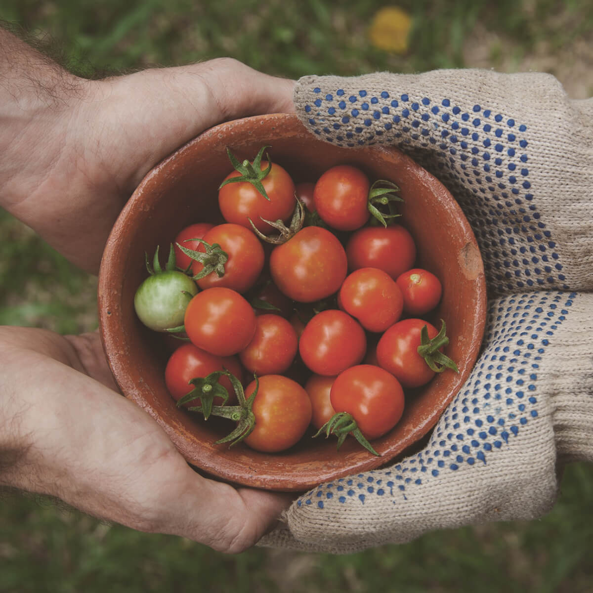 Magazyn Biogo - warzywa z własnego ogródka - zmieniajzbiogo.pl Magazyn Biogo - świadome korzystanie z wolnego czasu - zmieniajzbiogo.pl