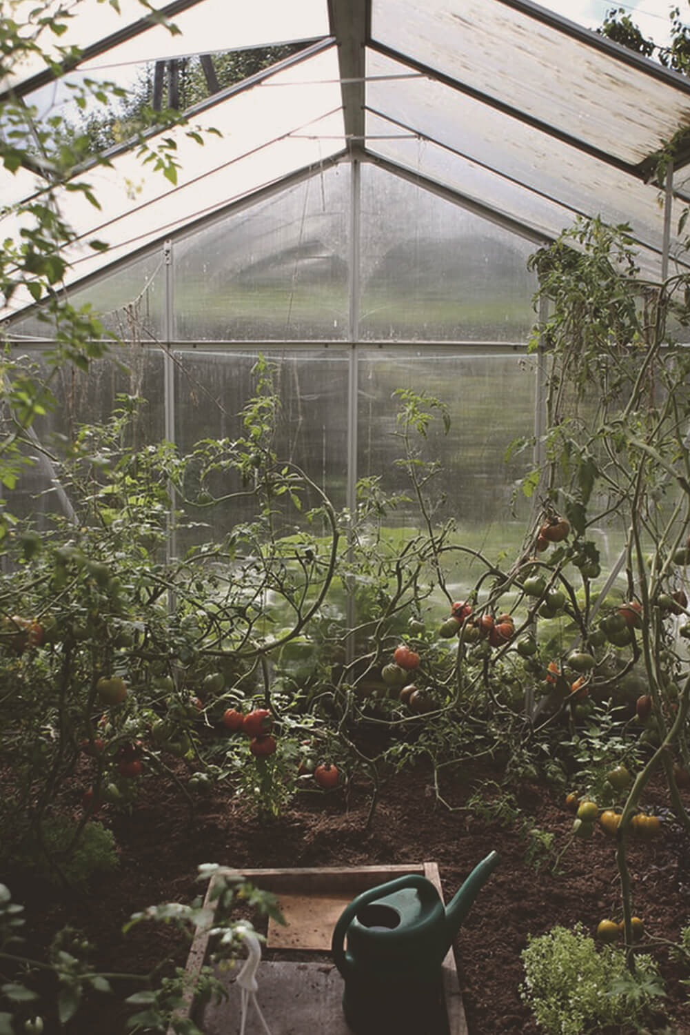 Magazyn Biogo - własny ogródek warzywny - zmieniajzbiogo.pl Magazyn Biogo - w kontakcie z naturą - zmieniajzbiogo.pl