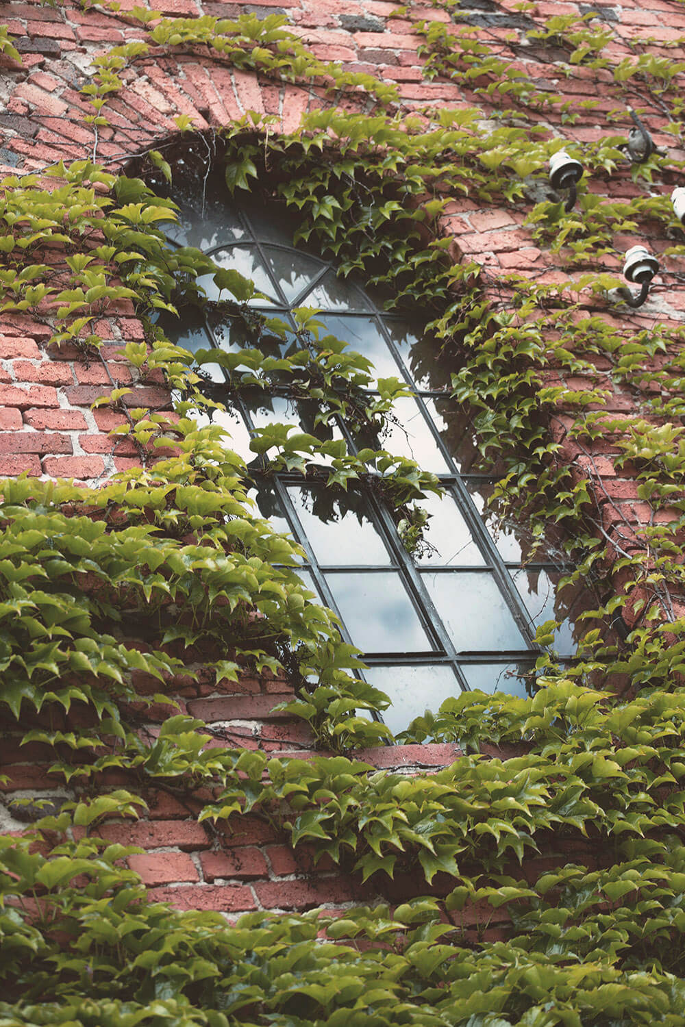 Magazyn Biogo - wiejska sielanka - zmieniajzbiogo.pl Magazyn Biogo - artystyczna przestrzeń - zmieniajzbiogo.pl