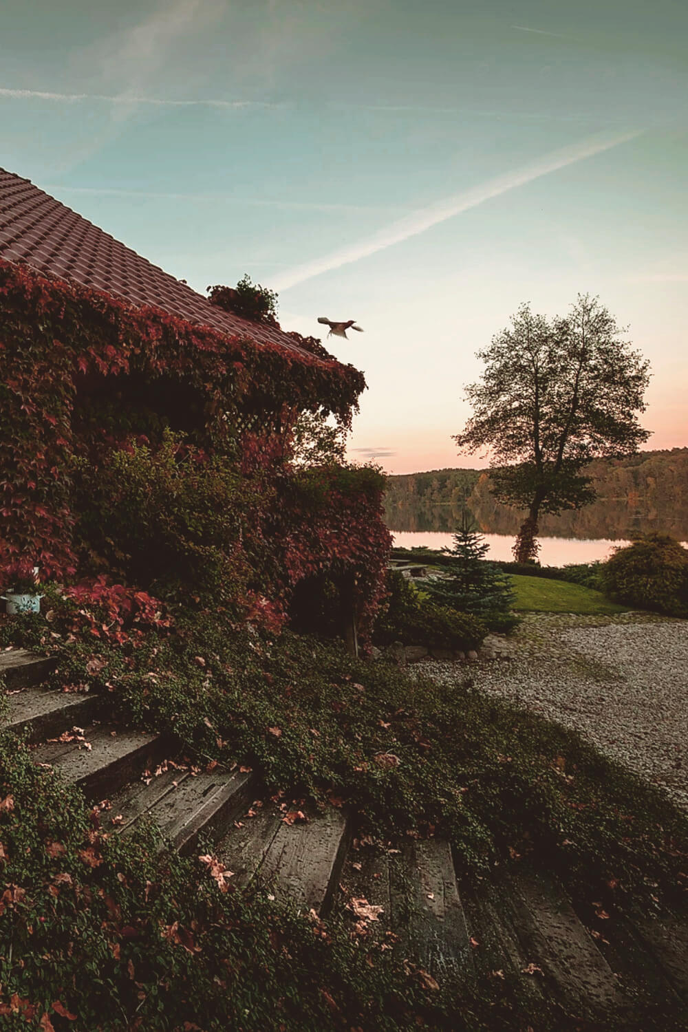 Magazyn Biogo - dom nad jeziorem - zmieniajzbiogo.pl Magazyn Biogo - inspirujące podejście do biznesu - zmieniajzbiogo.pl