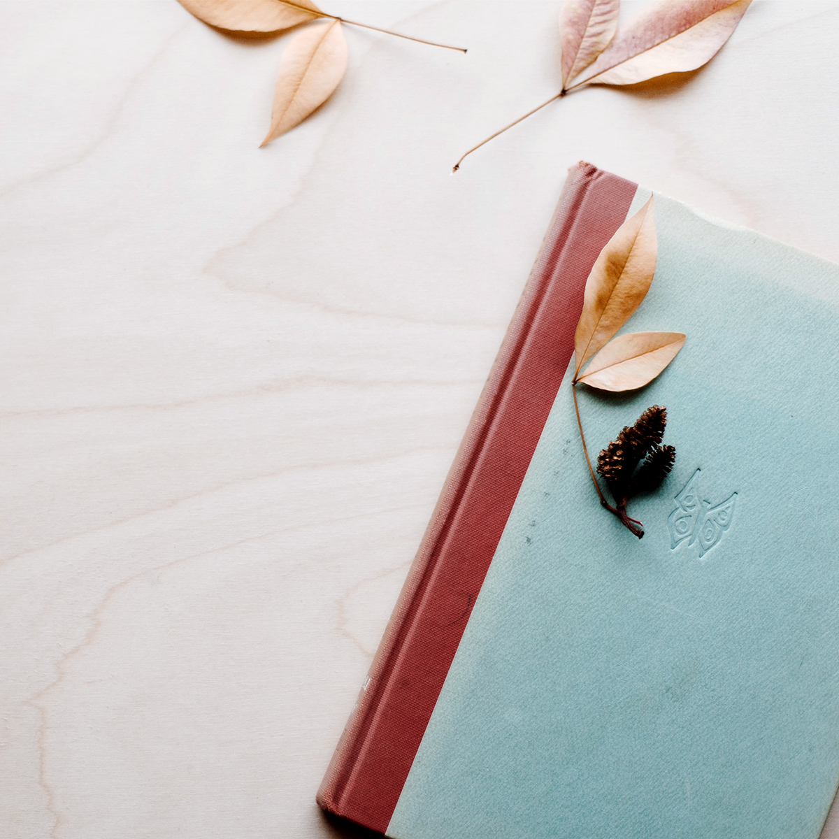 Magazyn Biogo - wybieraj świadomie - zmieniajzbiogo.pl Magazyn Biogo - kupowanie odzieży dobrej jakości - zmieniajzbiogo.pl