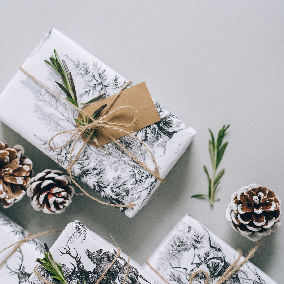 Magazyn Biogo - Wydatki cykliczne - zmieniajzbiogo.pl Magazyn Biogo - Zbuduj system - zmieniajzbiogo.pl