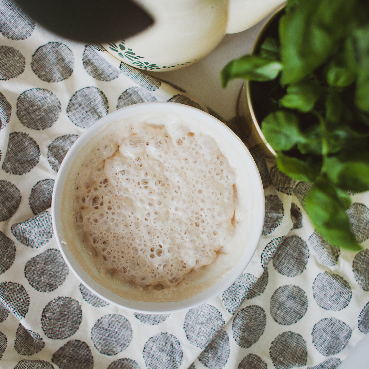  Magazyn Biogo - Ro_slinka_cieknie - zmieniajzbiogo.pl