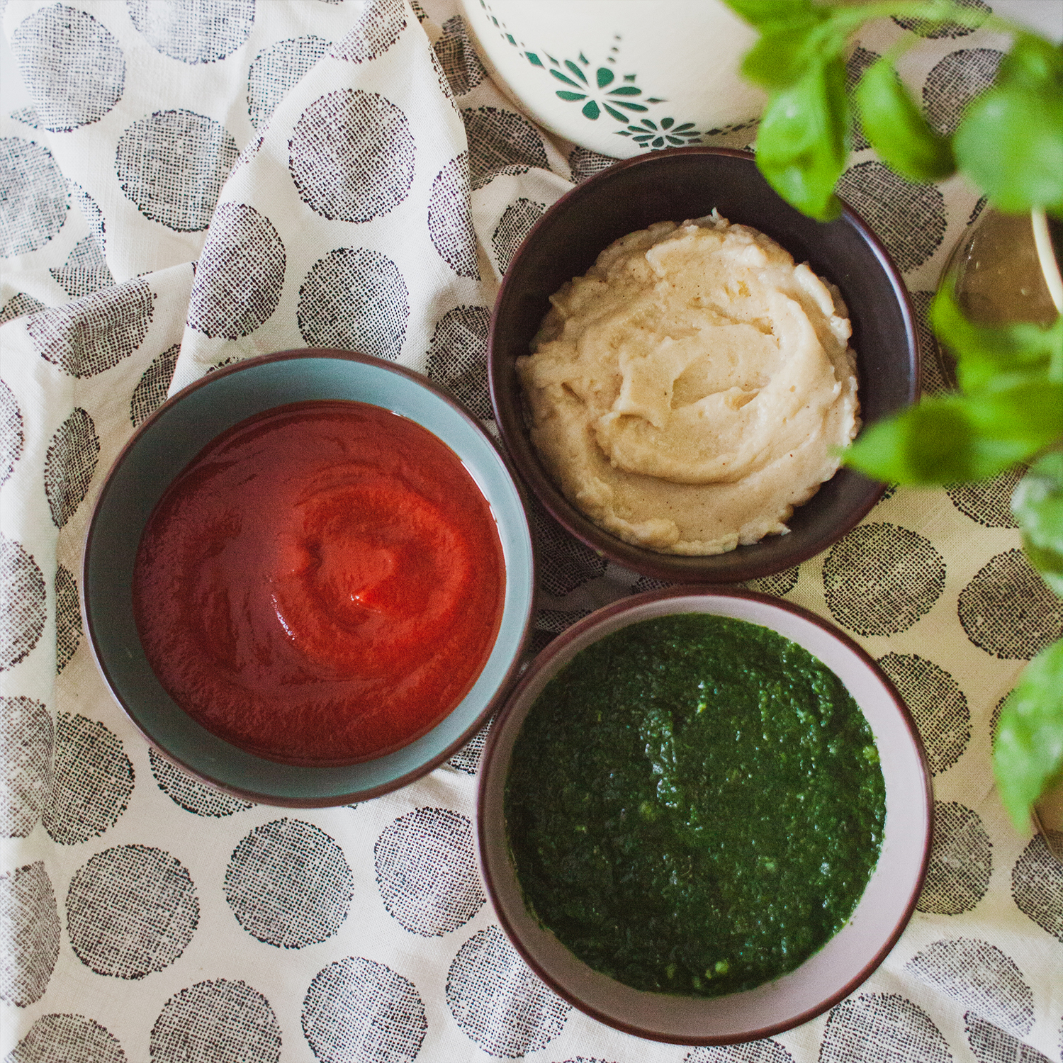 Magazyn Biogo - Weganizm nie musi być nudny - zmieniajzbiogo.pl