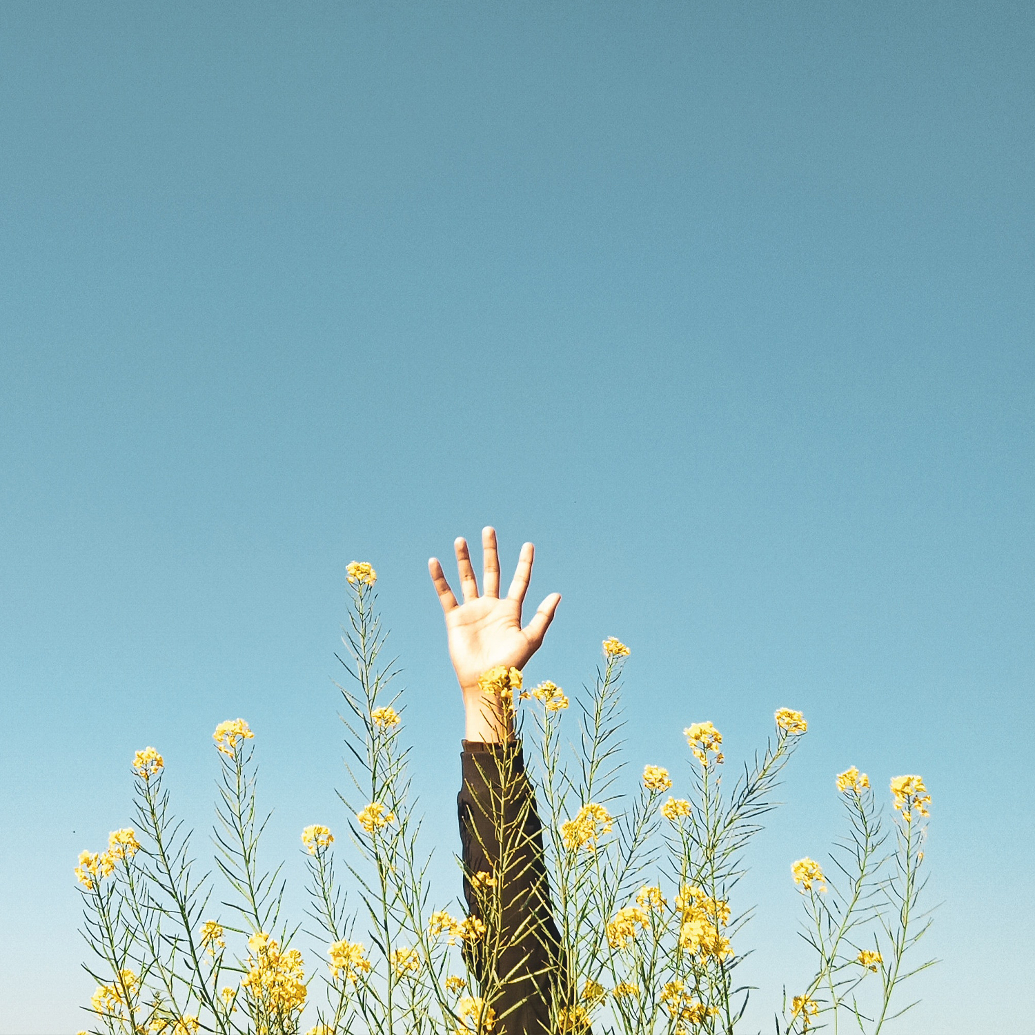 Magazyn Biogo - Slow-life - zmieniajzbiogo.pl