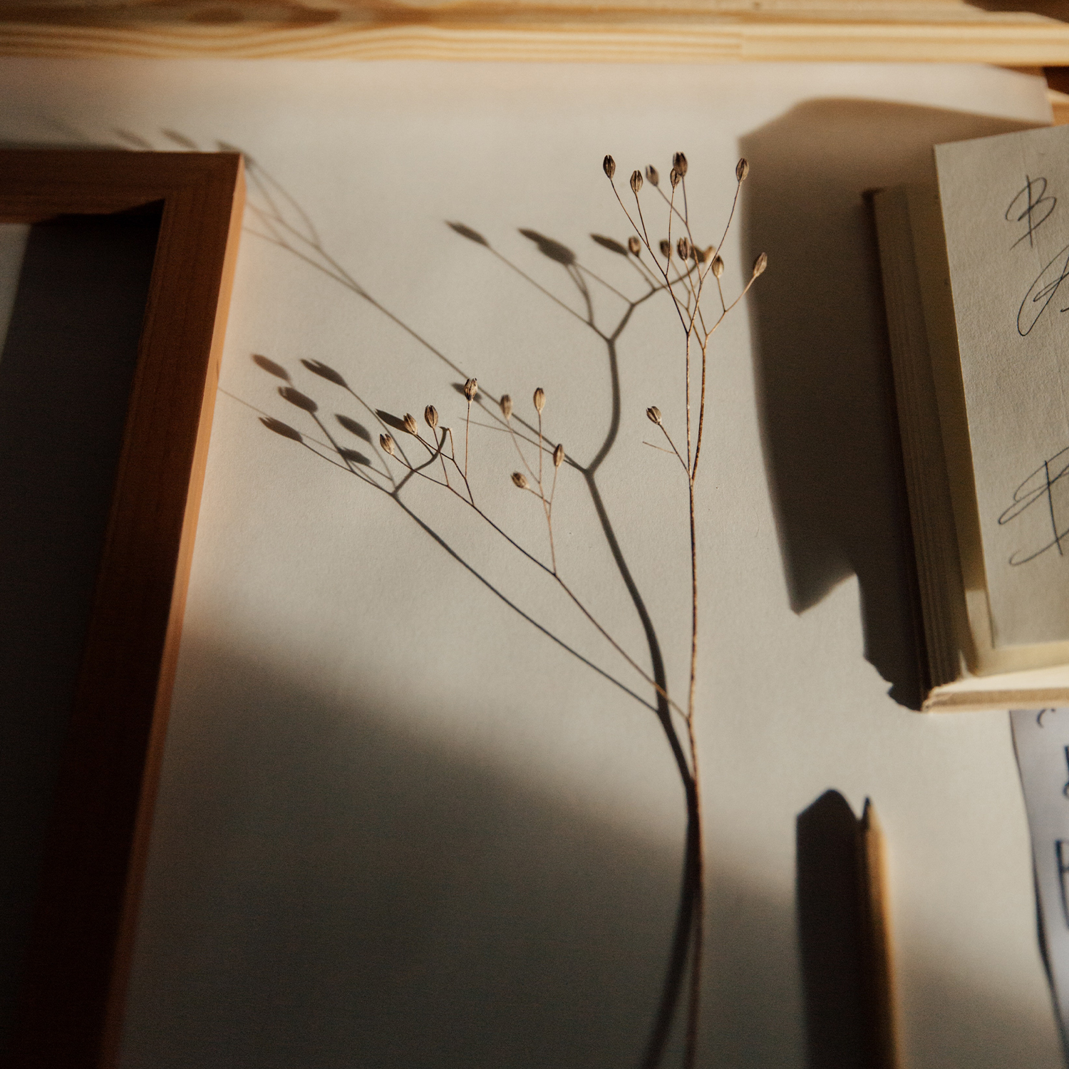 Magazyn Biogo - Pułapka planowania - zmieniajzbiogo.pl Magazyn Biogo - Slow-life - zmieniajzbiogo.pl