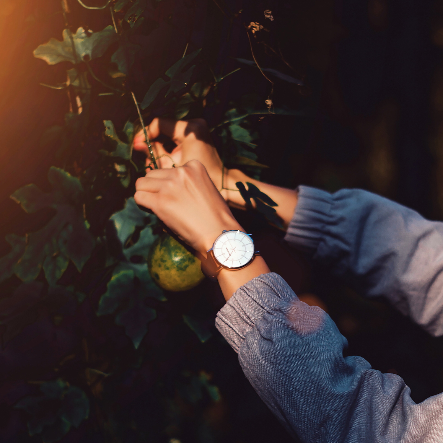 Magazyn Biogo - Balkonowy ogródek na wiosnę! - zmieniajzbiogo.pl