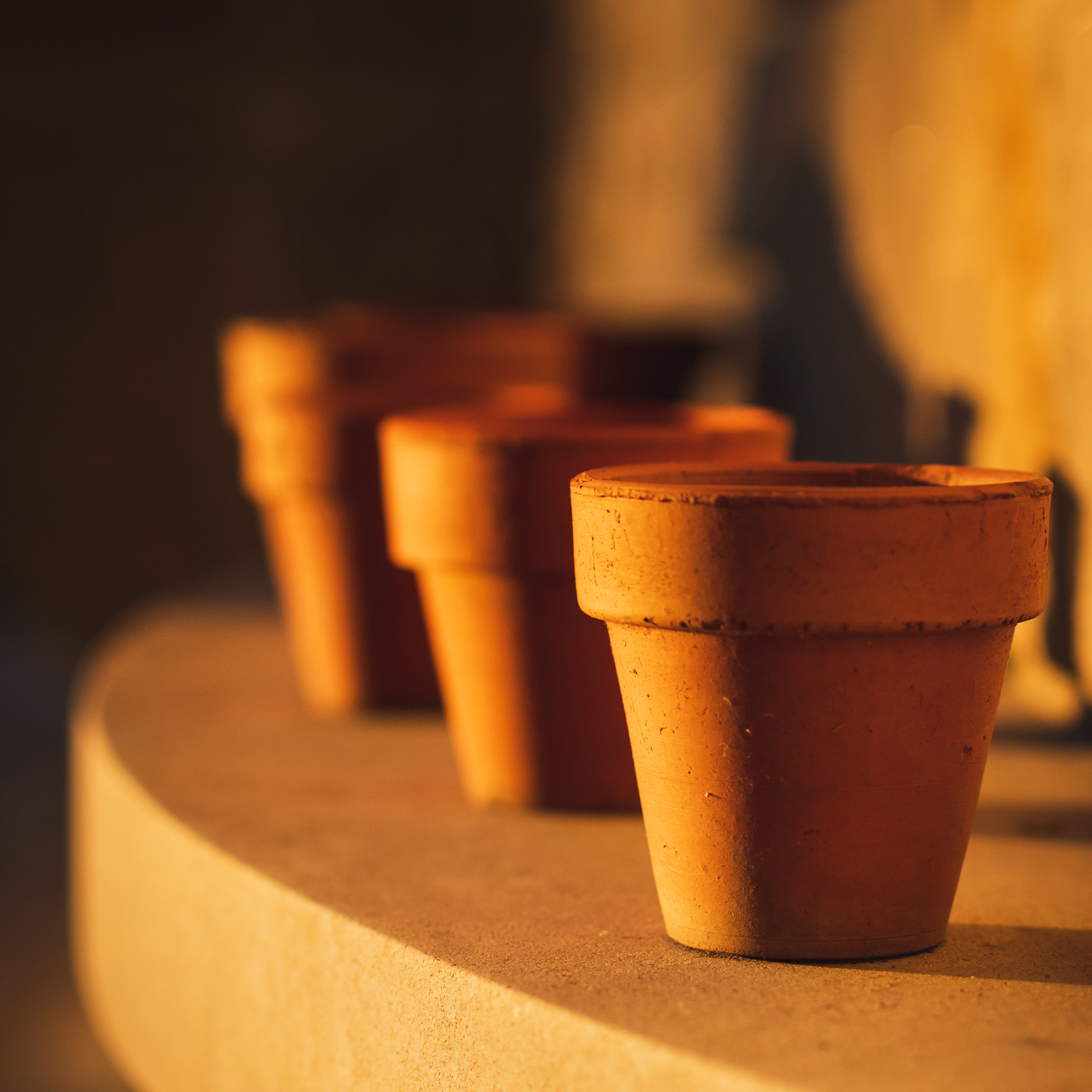 Magazyn Biogo - Slow-life - zmieniajzbiogo.pl