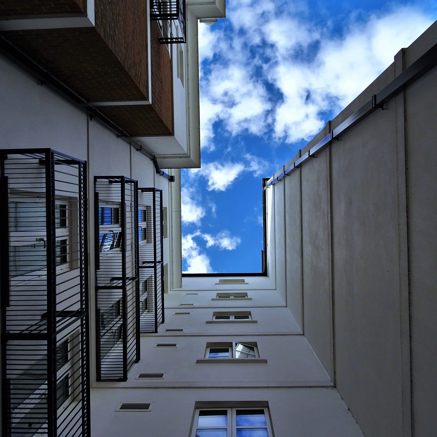 Magazyn Biogo - Doniczkowa grupa wsparcia - zmieniajzbiogo.pl