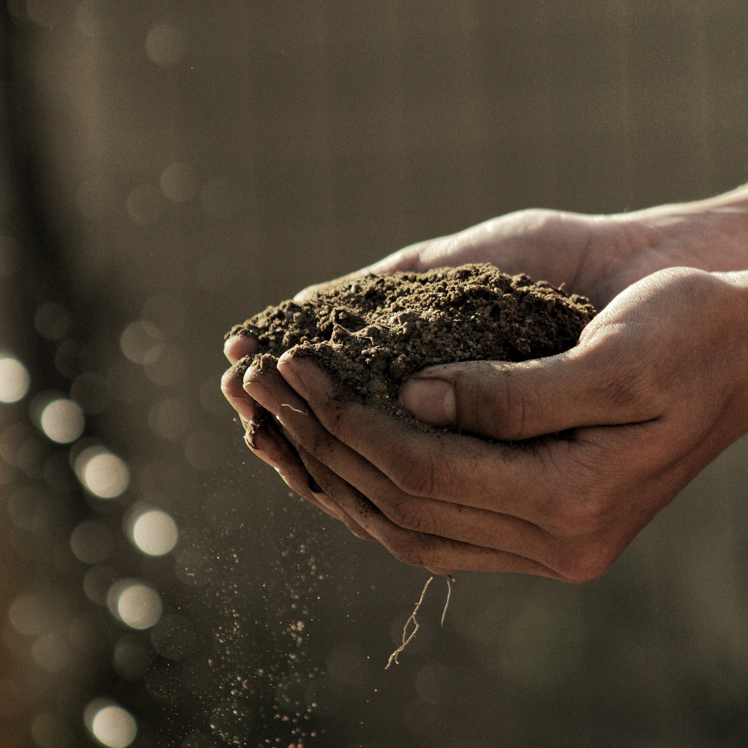 Magazyn Biogo - Slow-life - zmieniajzbiogo.pl