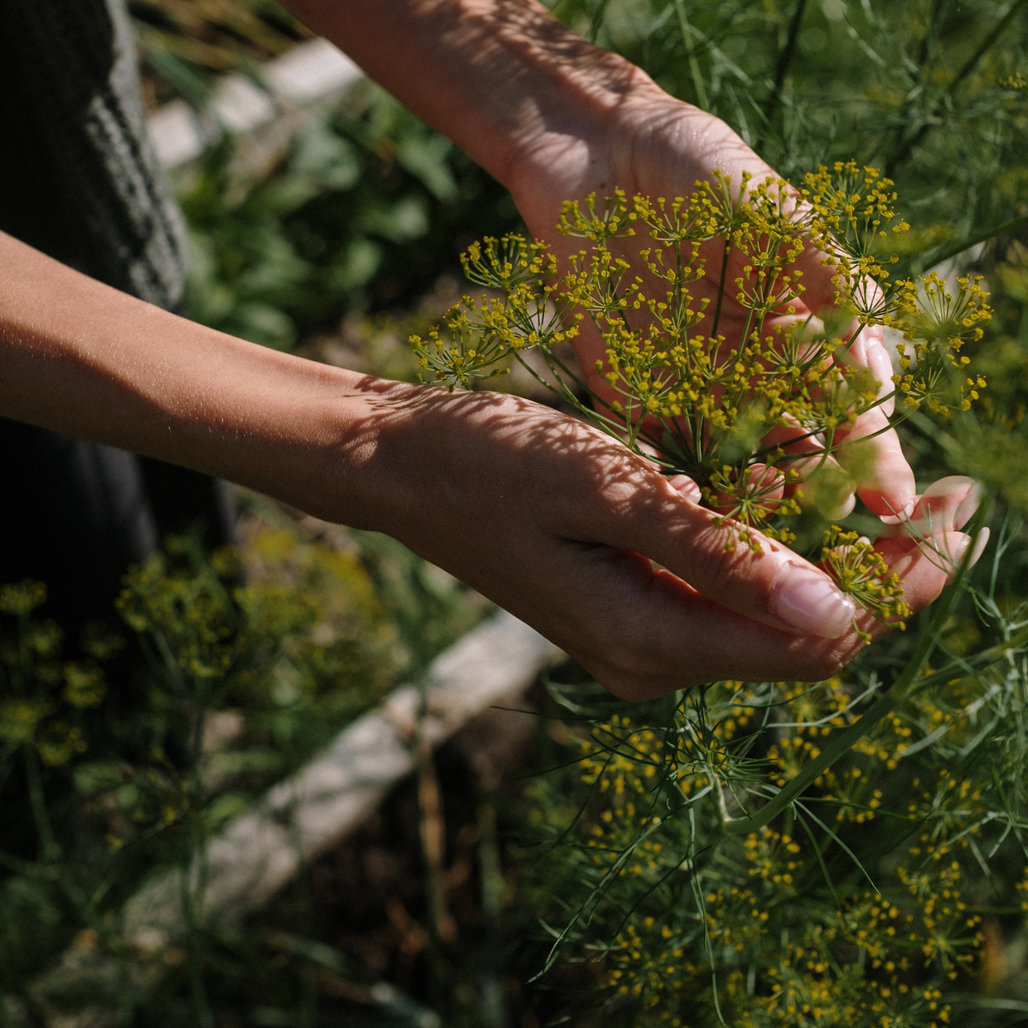 Magazyn Biogo - Balkonowy ogródek na wiosnę! - zmieniajzbiogo.pl