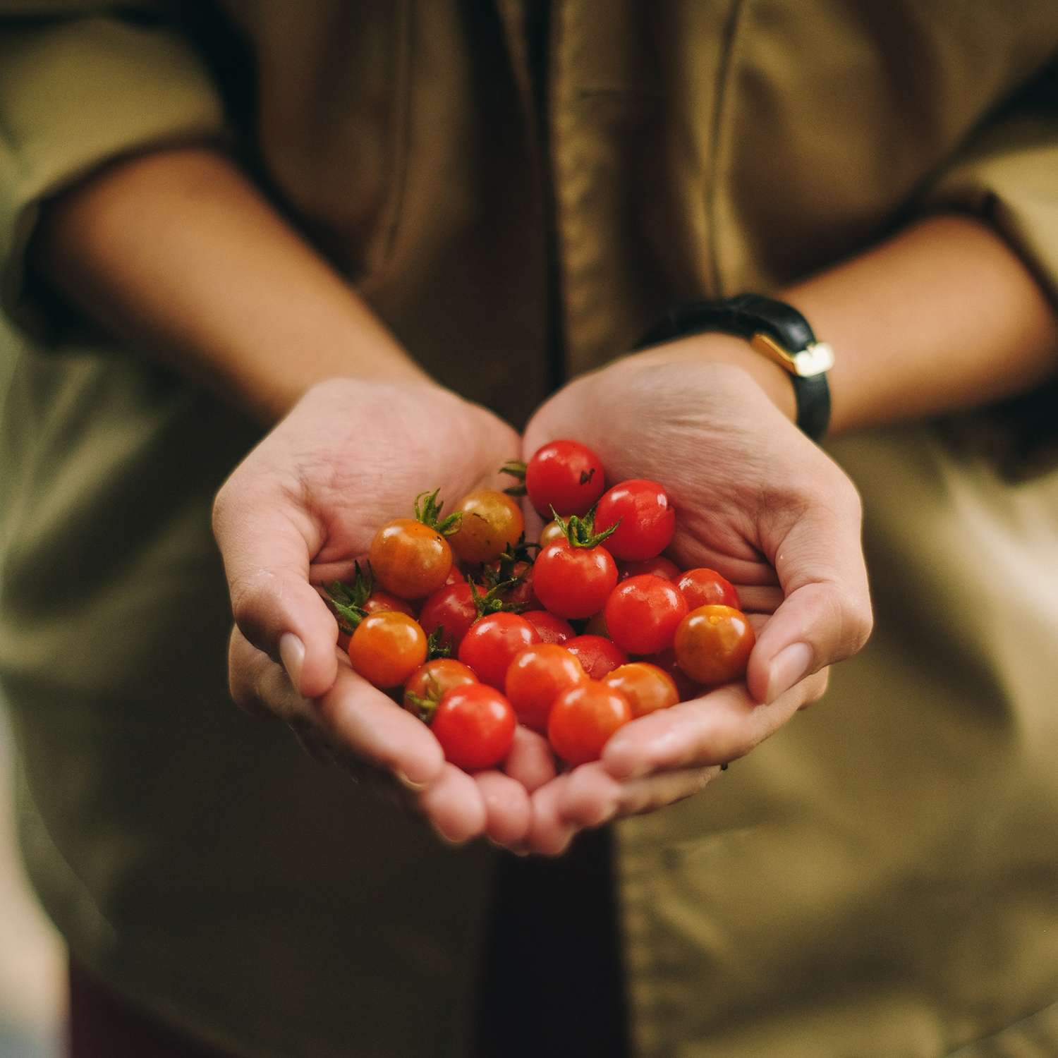 Magazyn Biogo - Balkonowy ogródek na wiosnę! - zmieniajzbiogo.pl