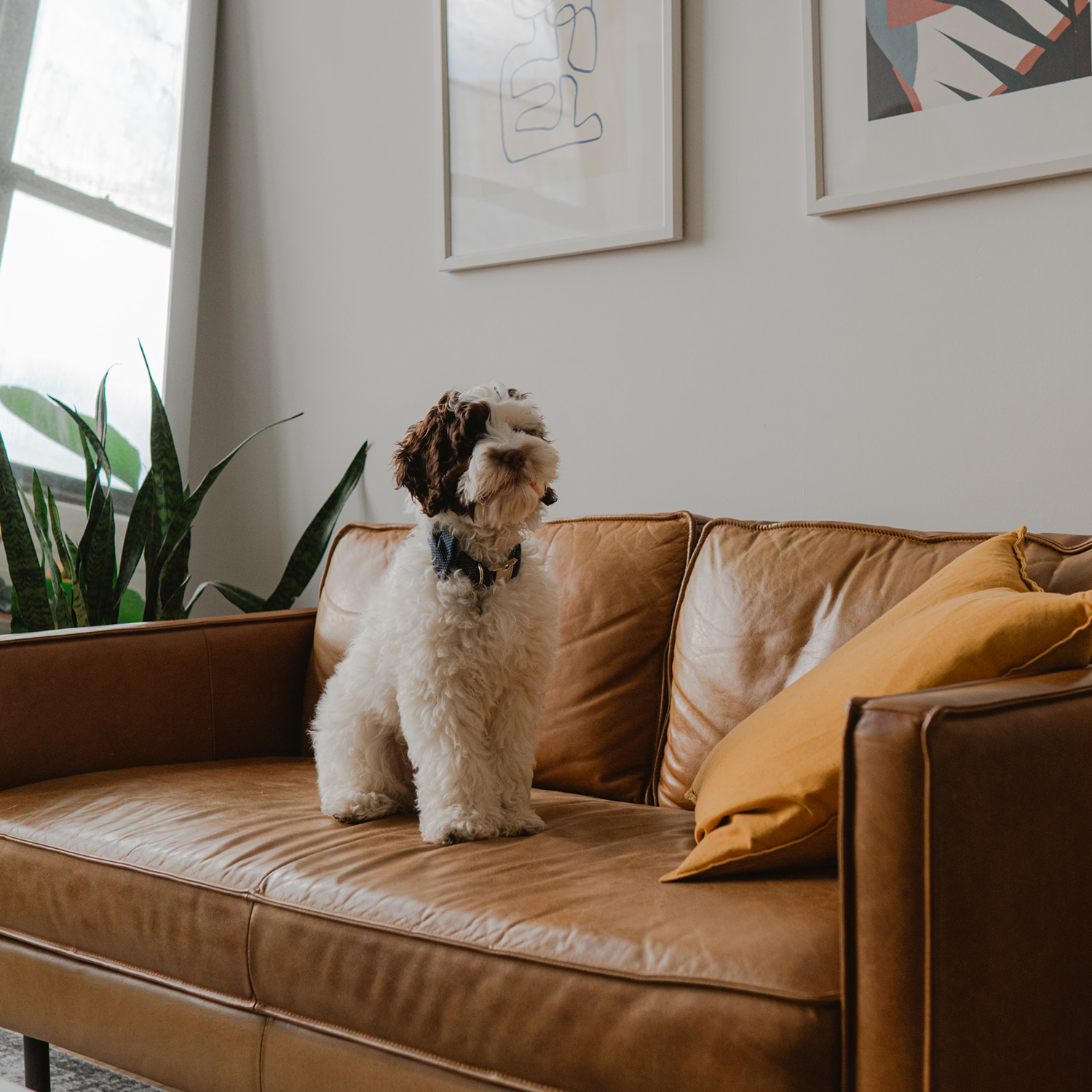 Magazyn Biogo - Pozbądź się dystrakcji - zmieniajzbiogo.pl