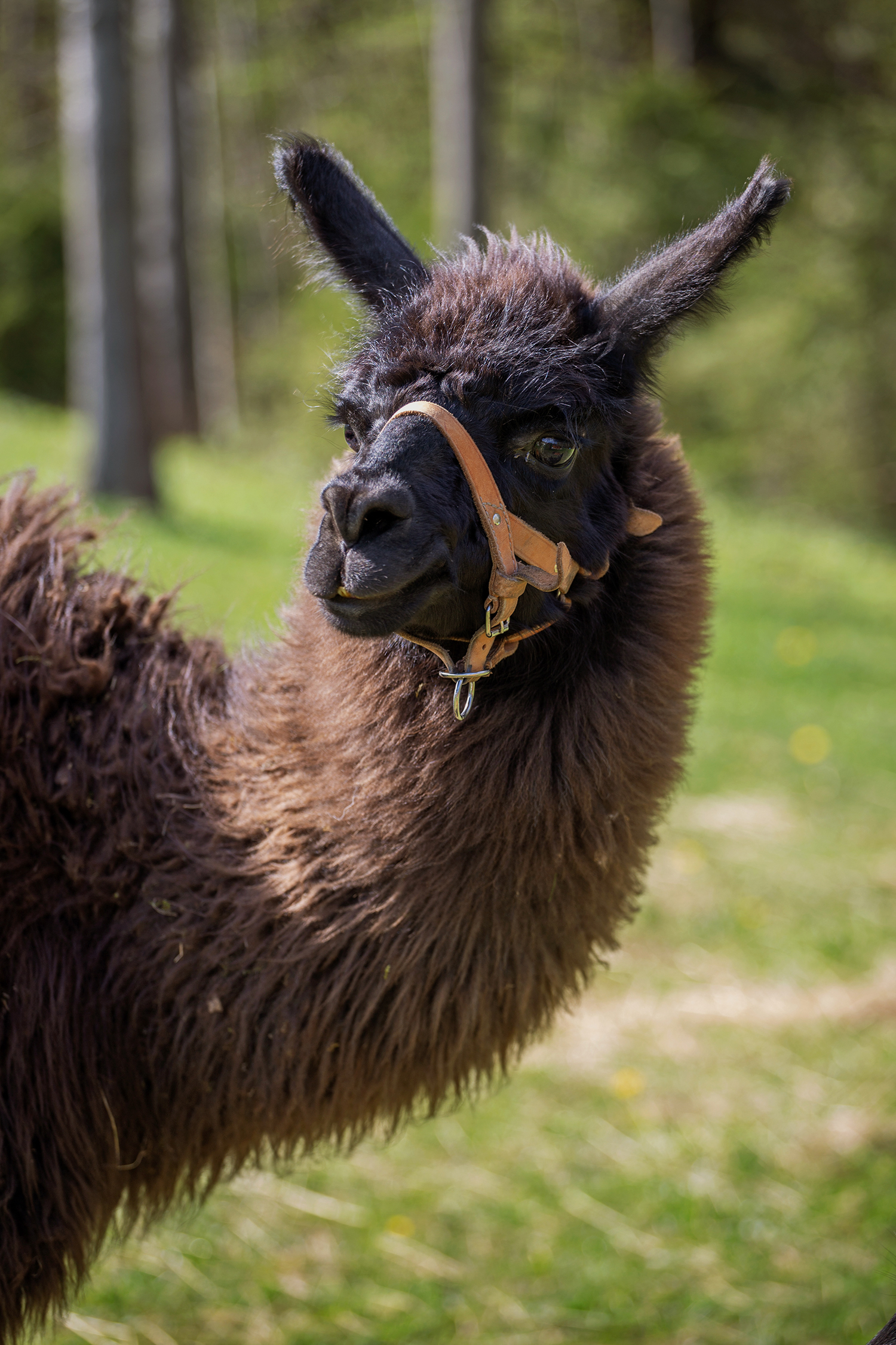 Magazyn Biogo - Początki… - zmieniajzbiogo.pl