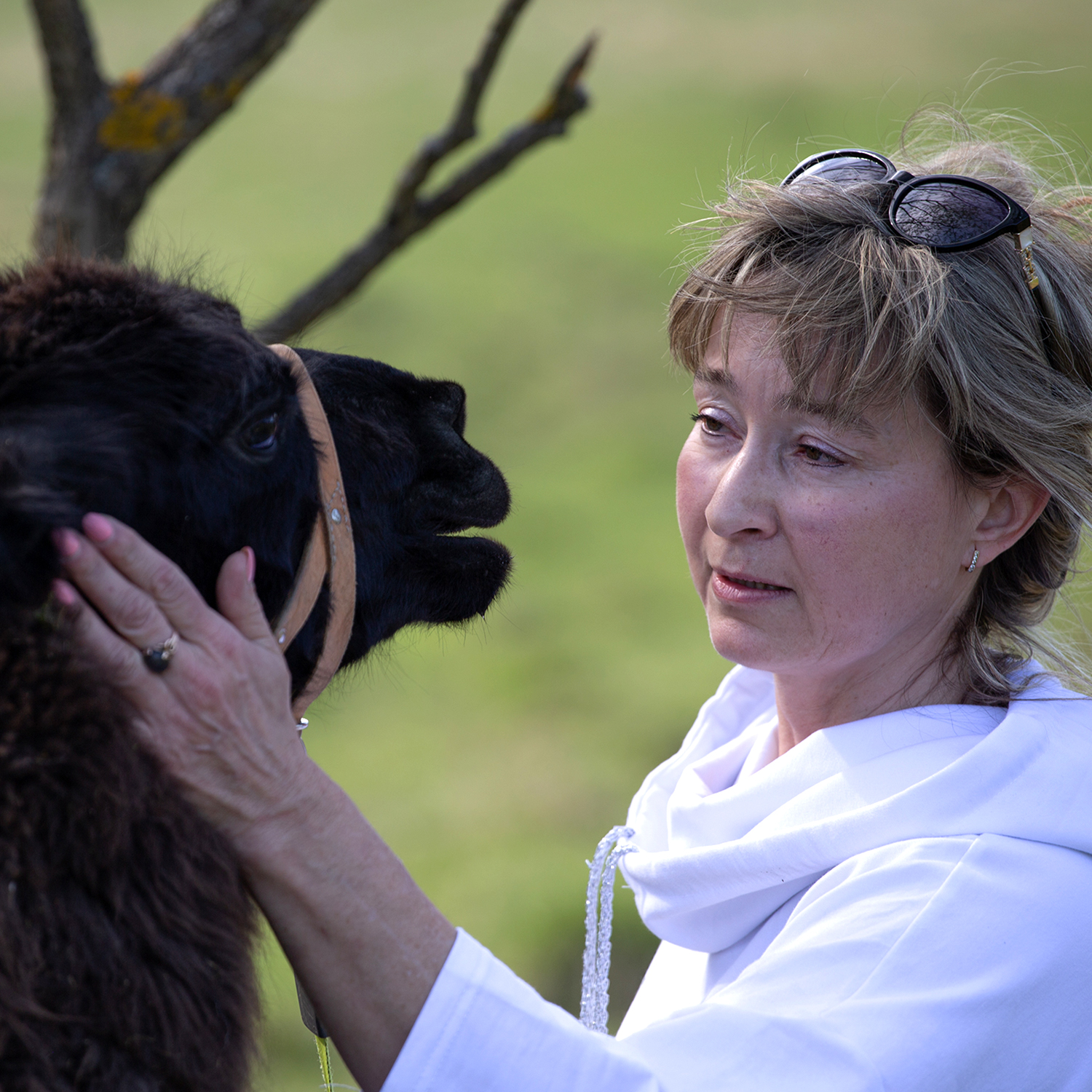 Magazyn Biogo - Nie wyobrażamy sobie życia bez zwierząt, to one nadają mu sens - zmieniajzbiogo.pl