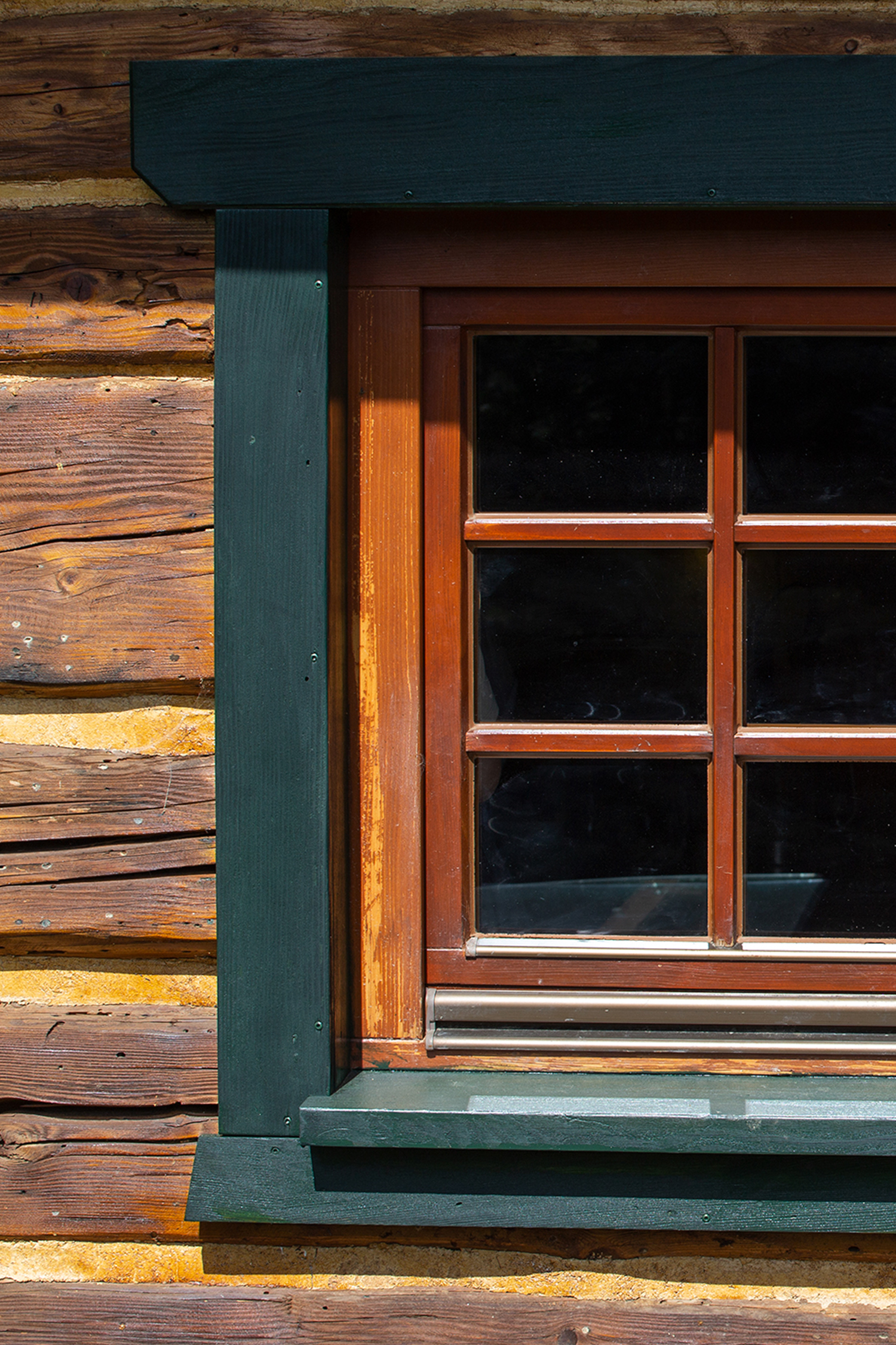 Magazyn Biogo - Nie wyobrażamy sobie życia bez zwierząt, to one nadają mu sens - zmieniajzbiogo.pl