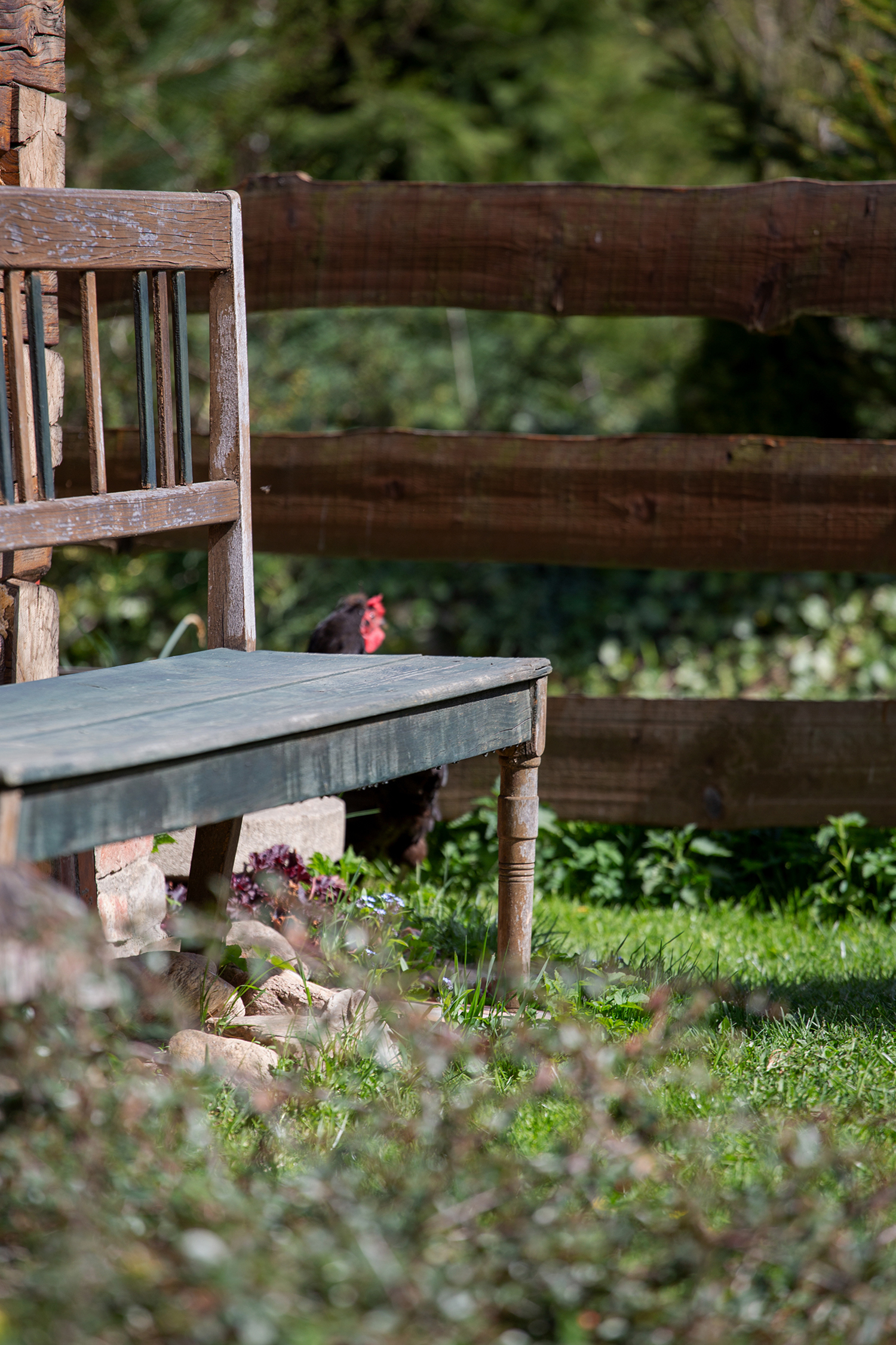 Magazyn Biogo - Początki nowej przygody - zmieniajzbiogo.pl