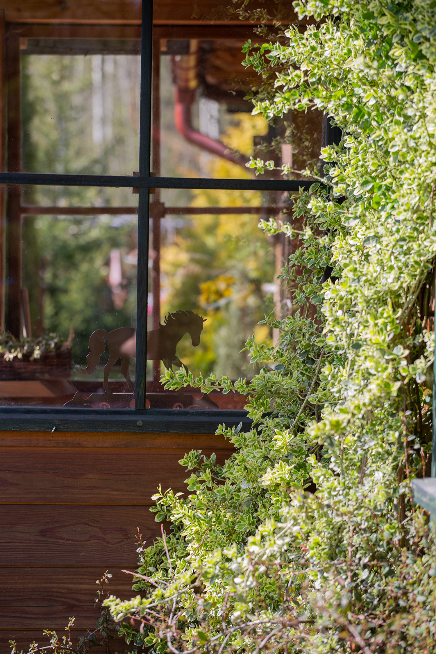 Magazyn Biogo - Nie wyobrażamy sobie życia bez zwierząt, to one nadają mu sens - zmieniajzbiogo.pl