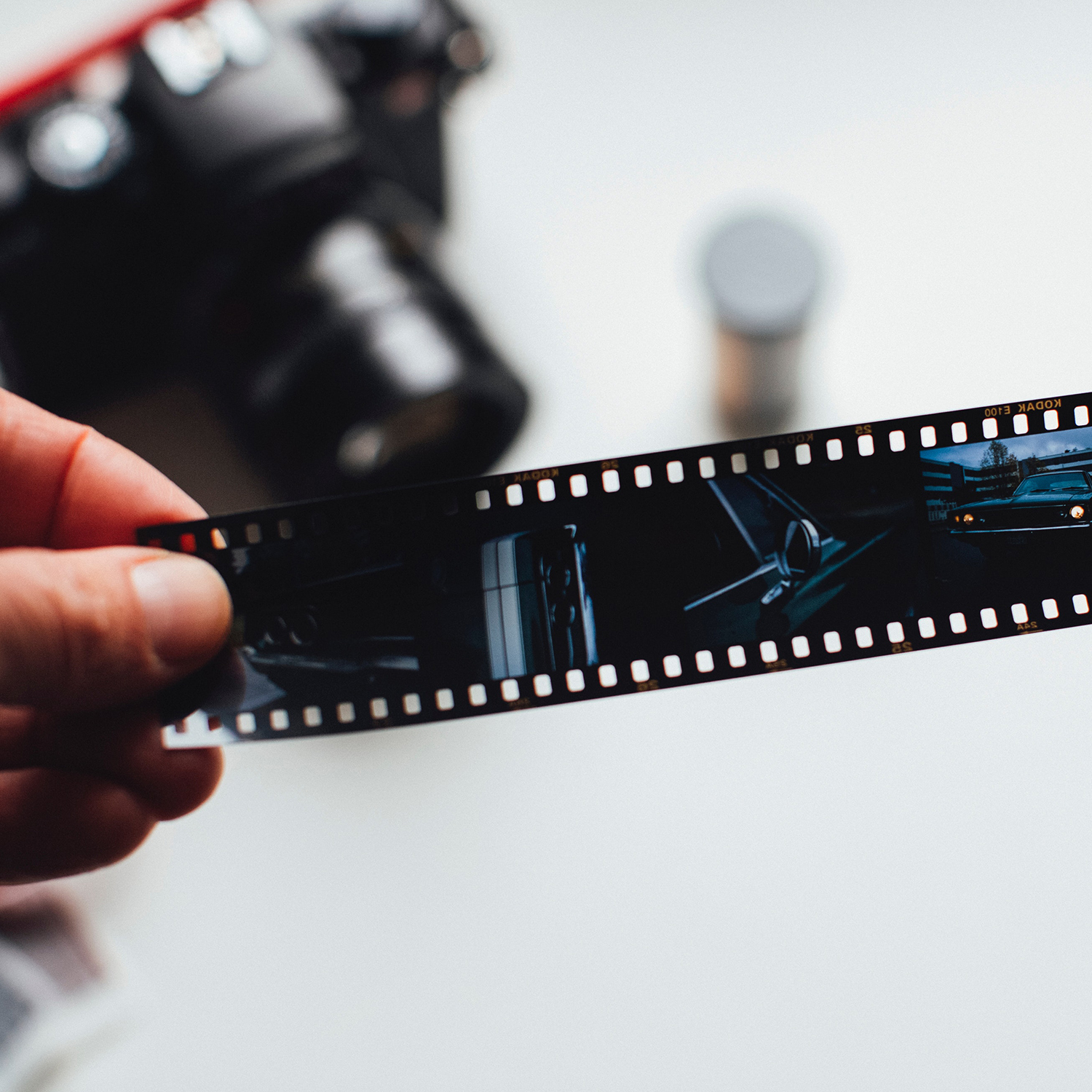 Magazyn Biogo - To wszystko! - zmieniajzbiogo.pl