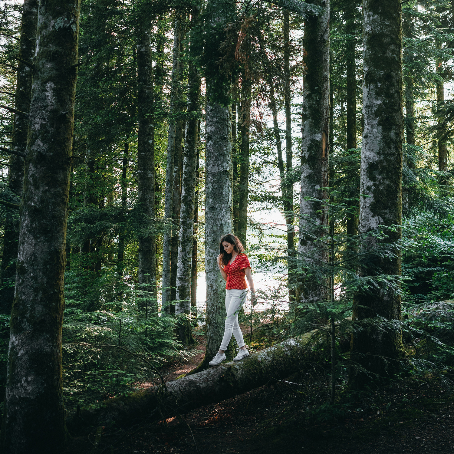 Magazyn Biogo - To wszystko! - zmieniajzbiogo.pl Magazyn Biogo - Wypoczynek w naturze - zmieniajzbiogo.pl