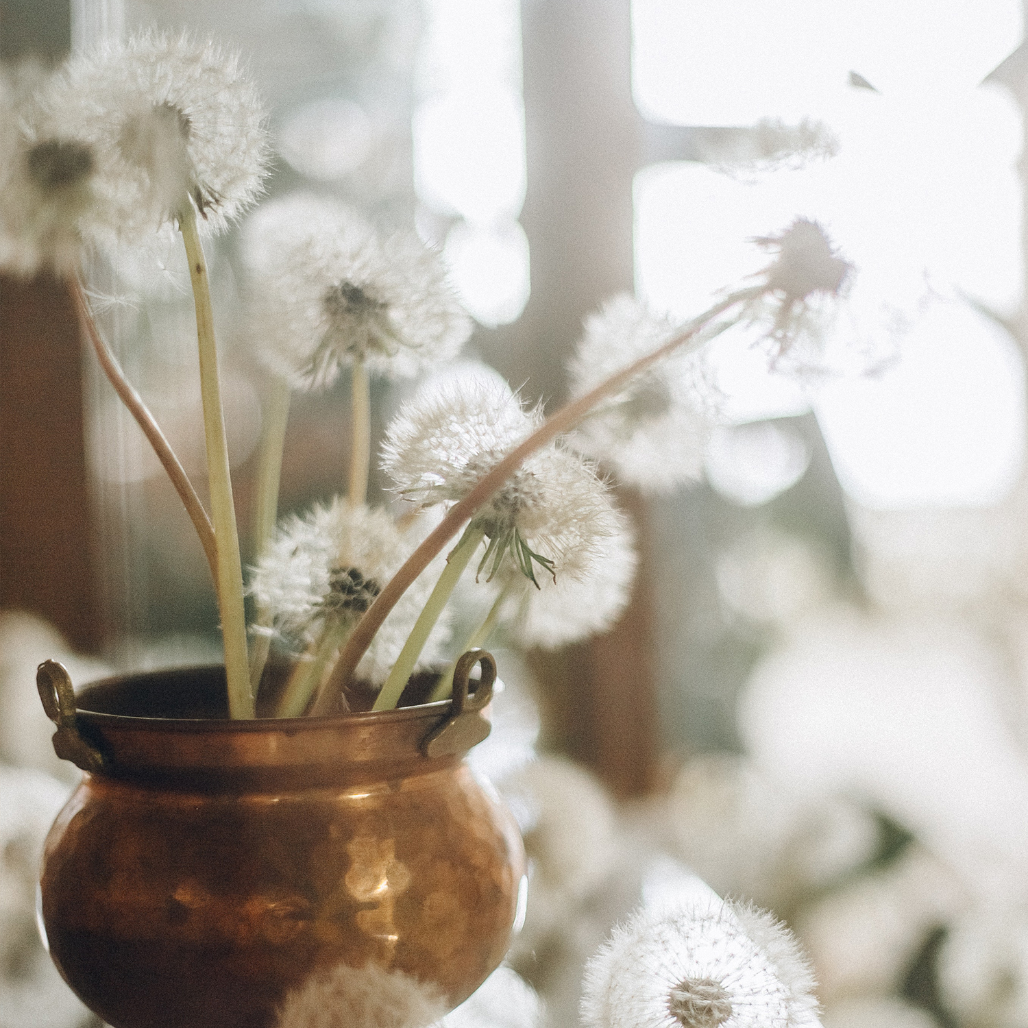 Magazyn Biogo - Ufff! - zmieniajzbiogo.pl Magazyn Biogo - Self-love - zmieniajzbiogo.pl