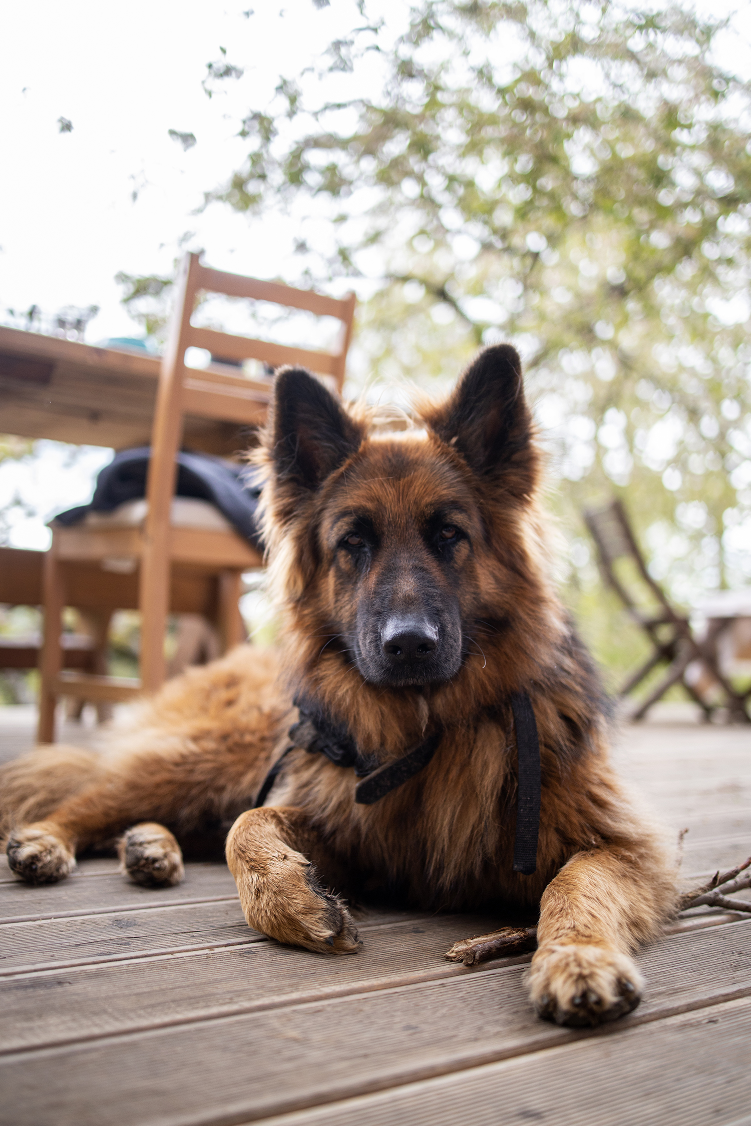 Magazyn Biogo - Ania i Agata Trawińskie – Piernik Wrocławski - zmieniajzbiogo.pl