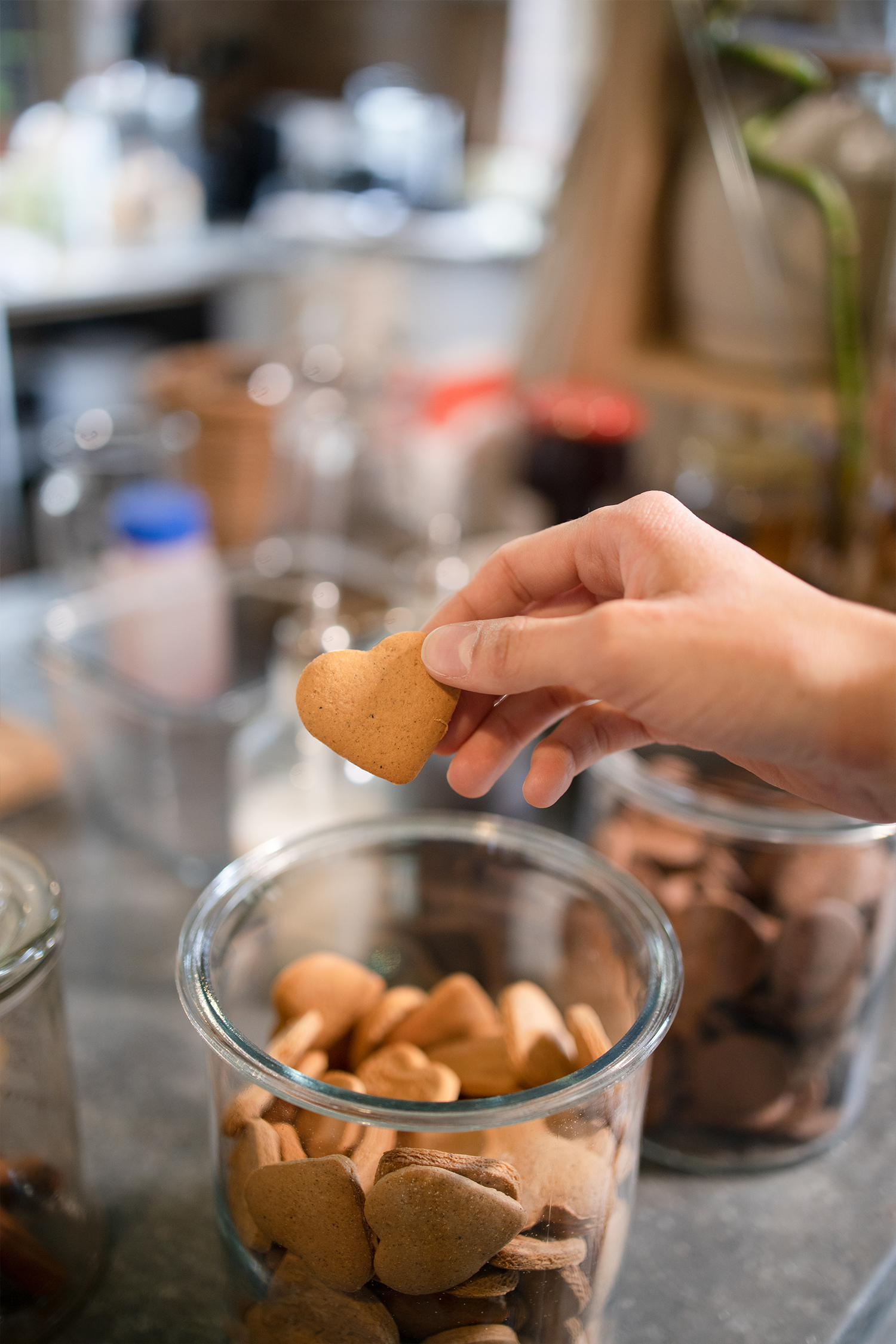 Magazyn Biogo - Slow-life - zmieniajzbiogo.pl