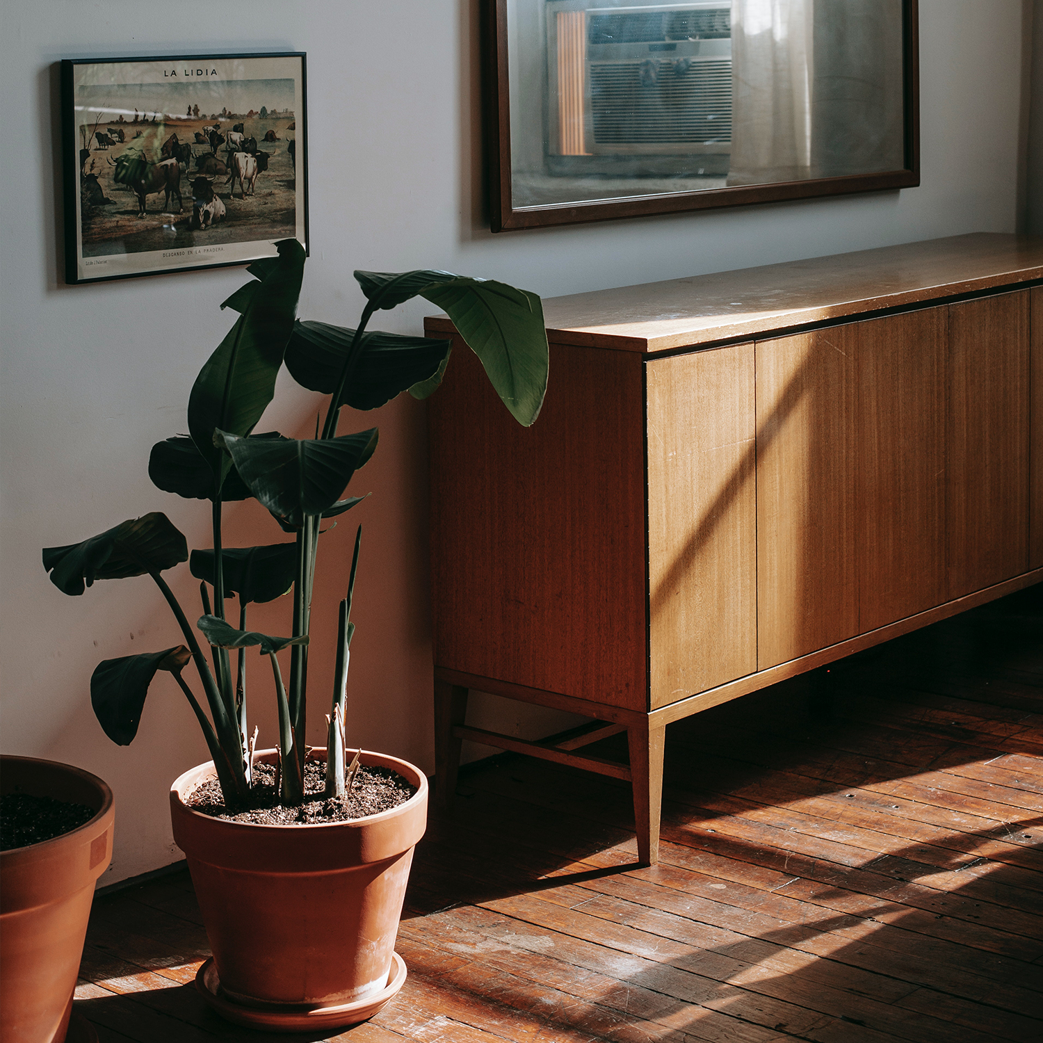 Magazyn Biogo - Organiczne elementy - zmieniajzbiogo.pl Magazyn Biogo - Self-care - zmieniajzbiogo.pl